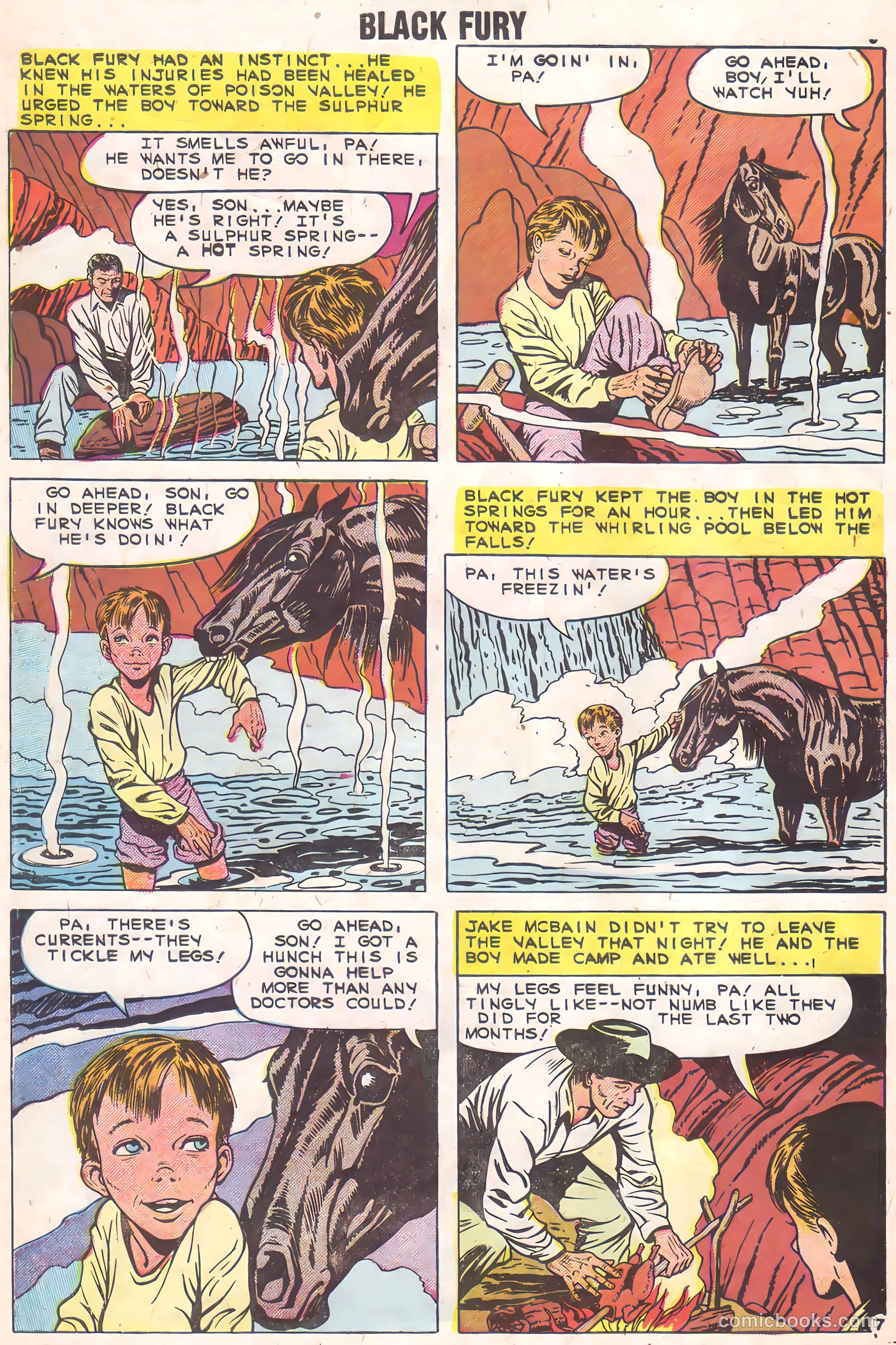 Black Fury #2 (1955) — page 10 of 36