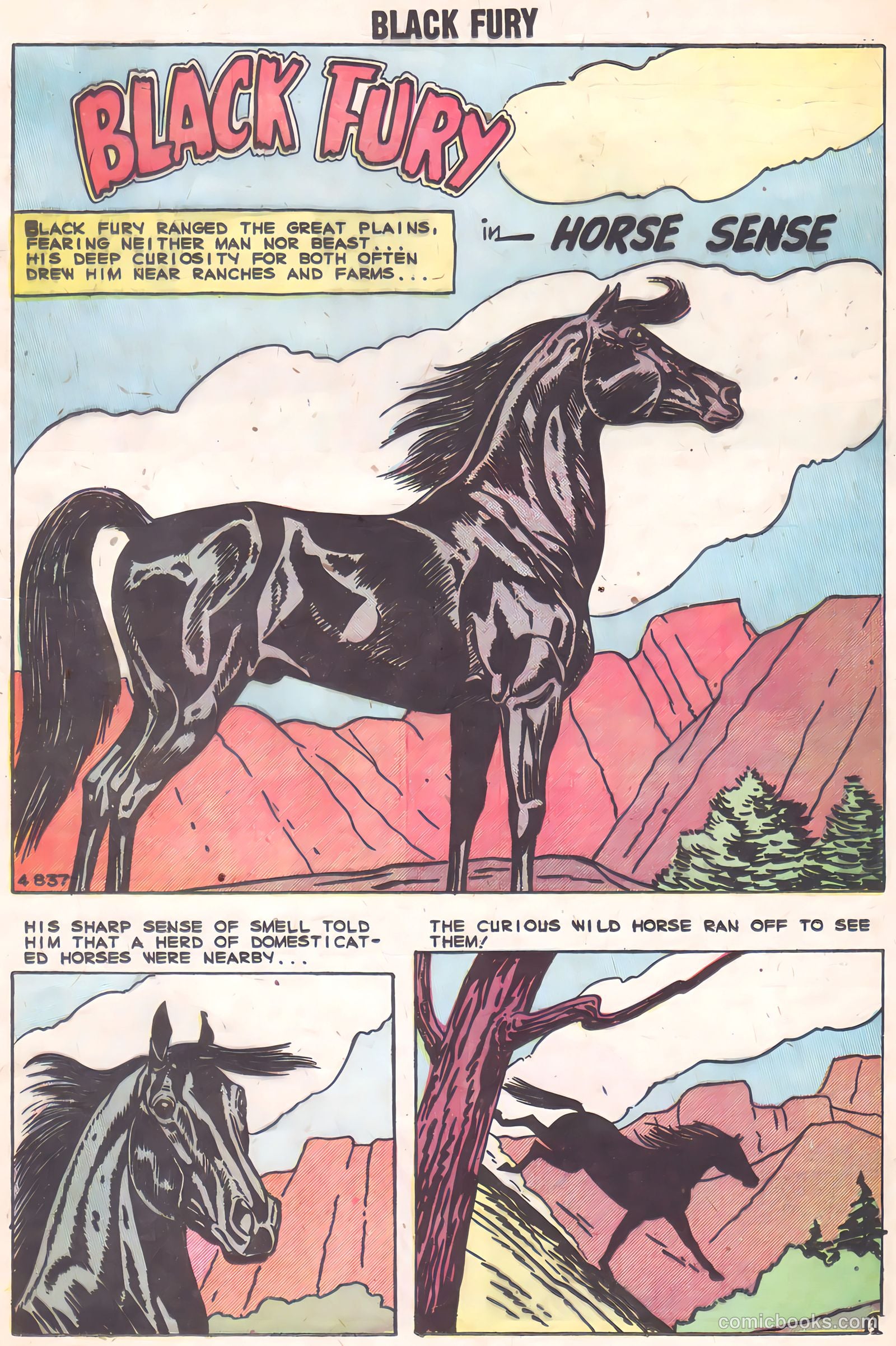 Black Fury #2 (1955) — page 13 of 36