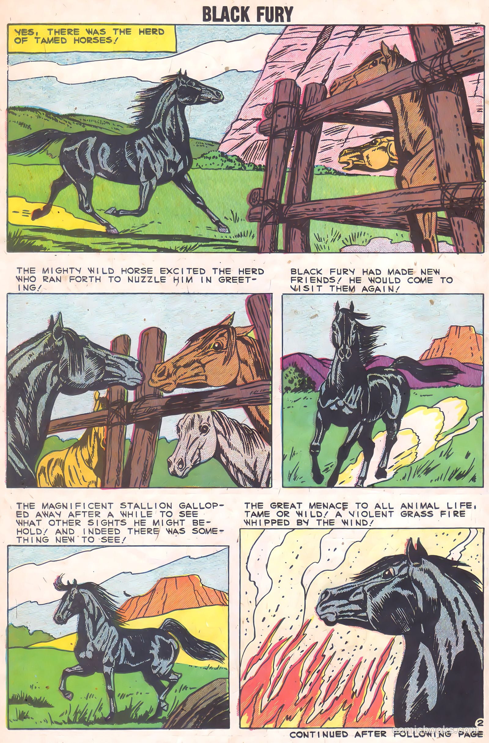 Black Fury #2 (1955) — page 14 of 36