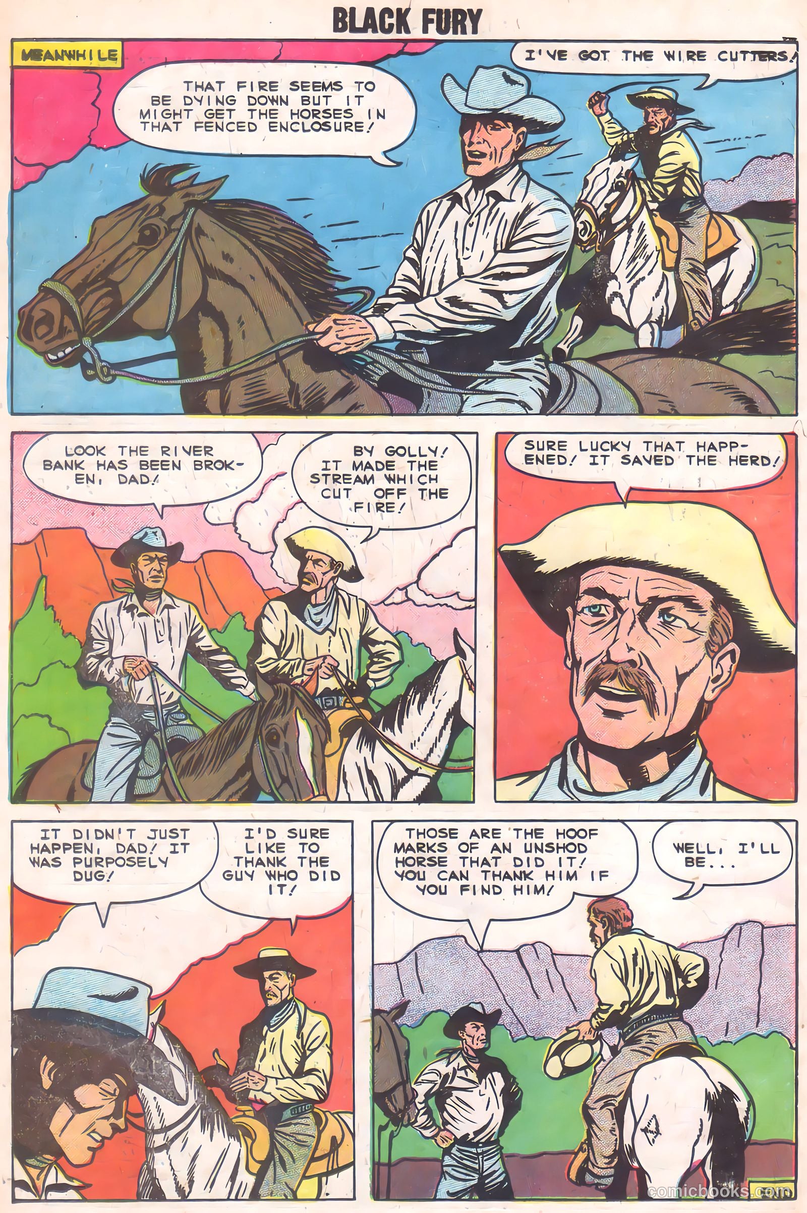 Black Fury #2 (1955) — page 18 of 36