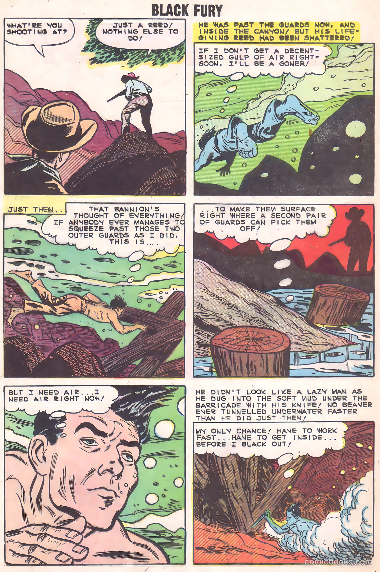 Black Fury #2 (1955) — page 24 of 36