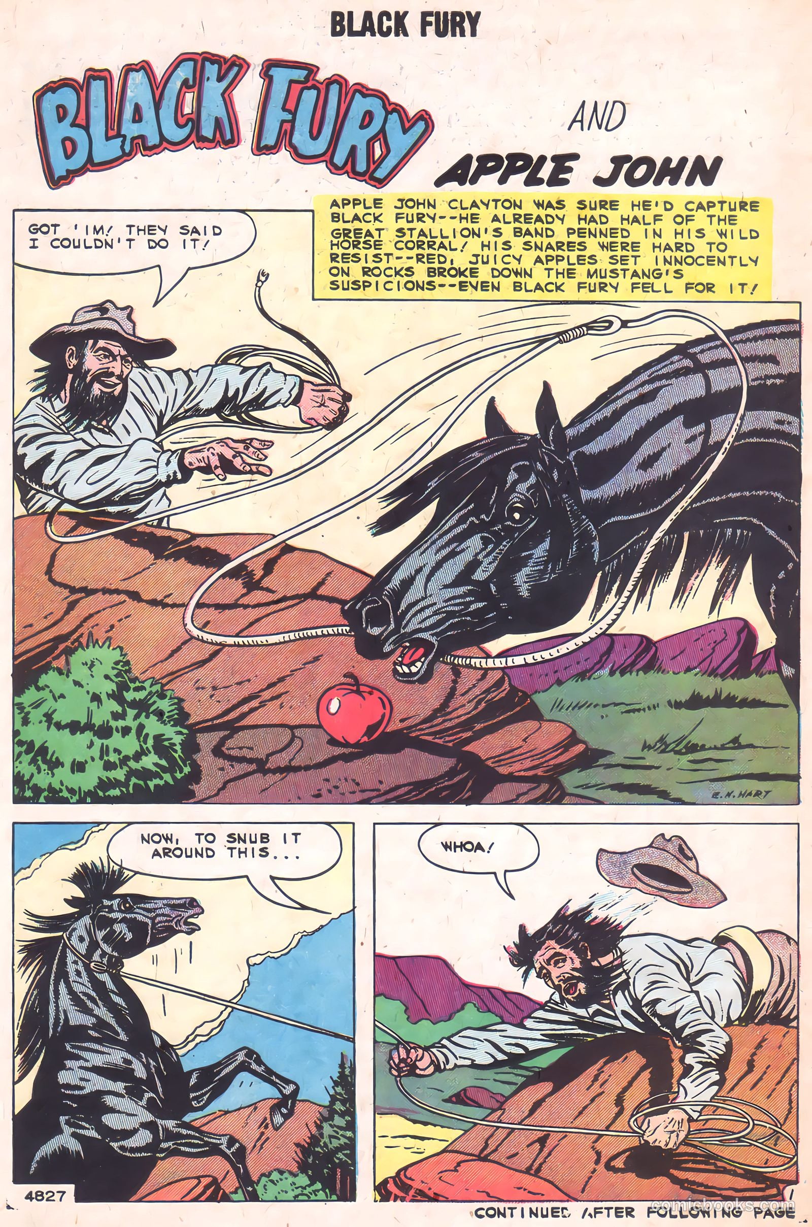 Black Fury #2 (1955) — page 30 of 36