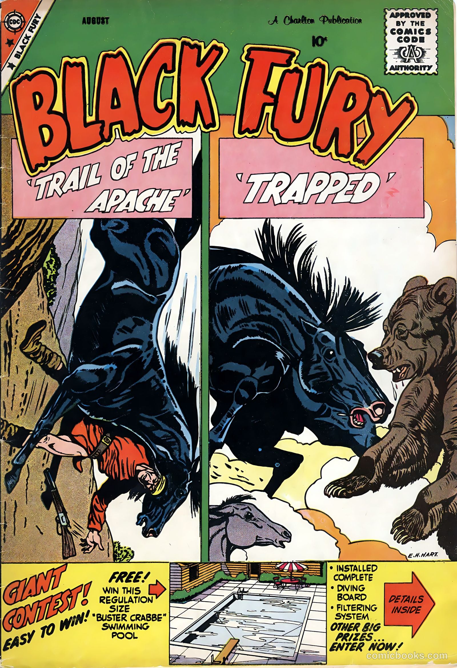 Black Fury #20