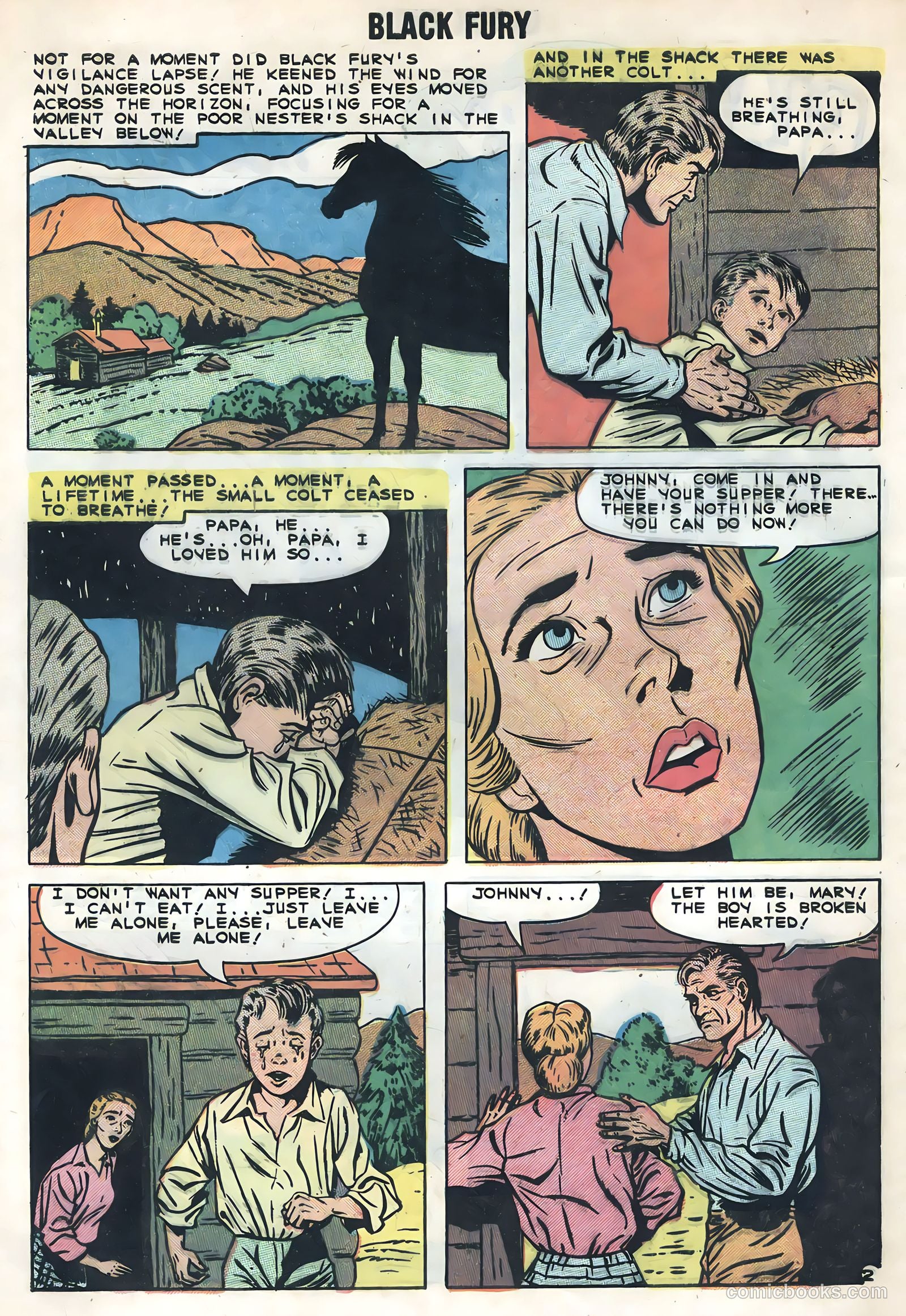 Black Fury #20 (1959) — page 4 of 36