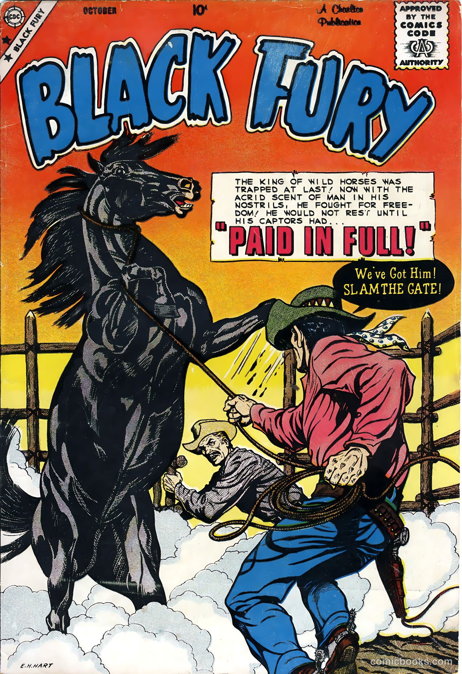 Black Fury #21