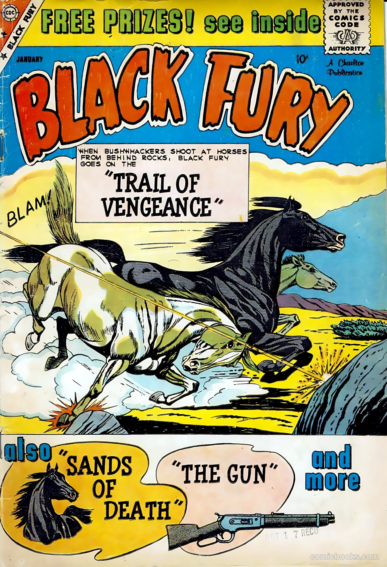 Black Fury #22
