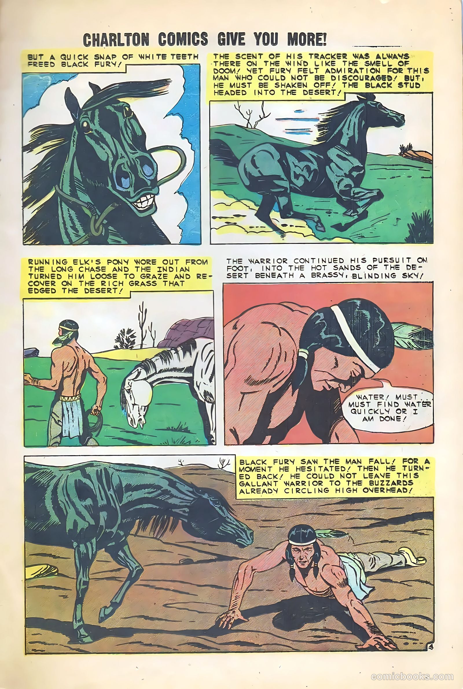 Black Fury #22 (1960) — page 13 of 36