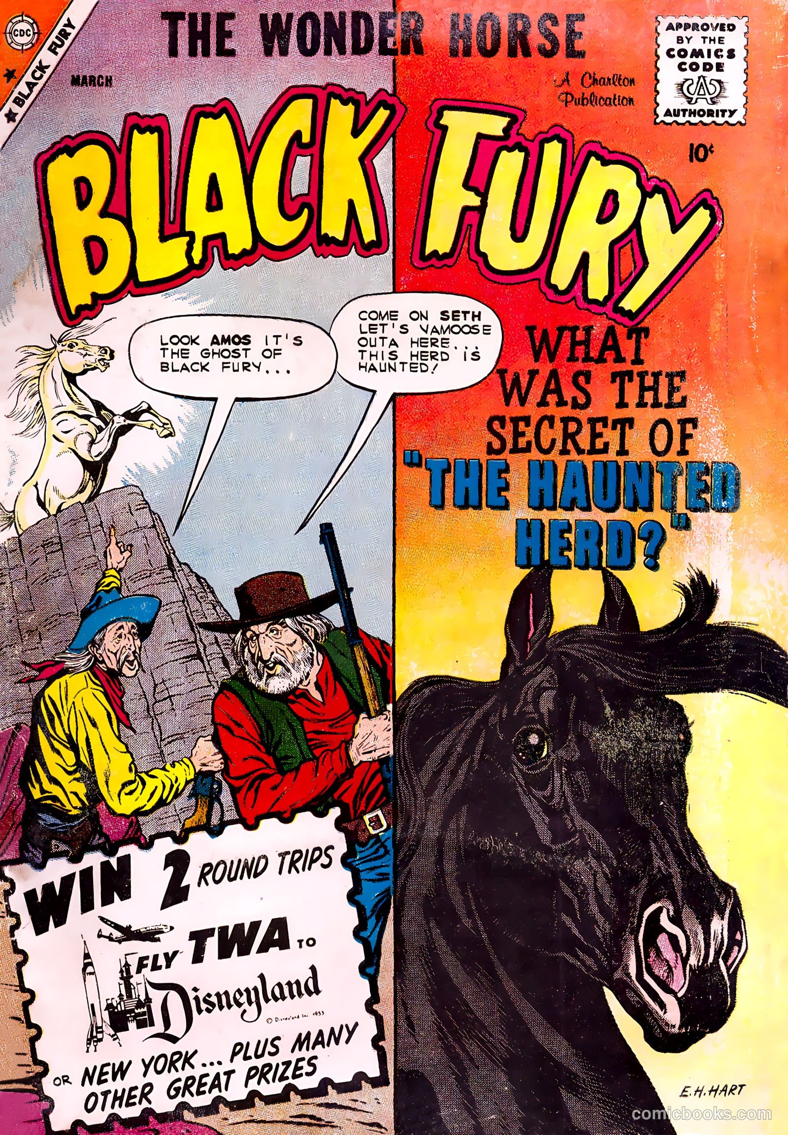 Black Fury #23