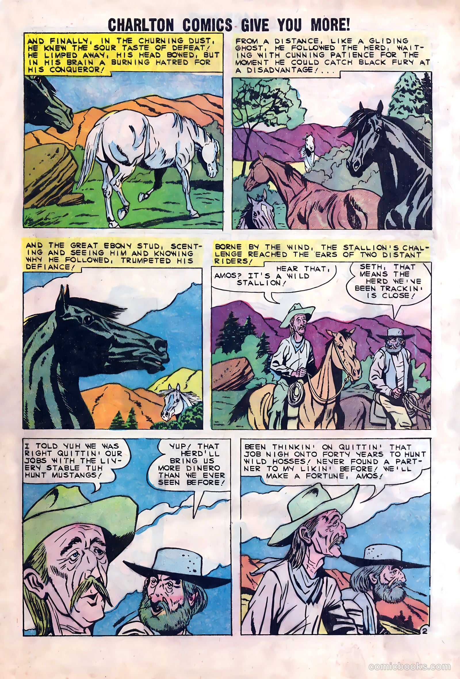 Black Fury #23 (1960) — page 29 of 36