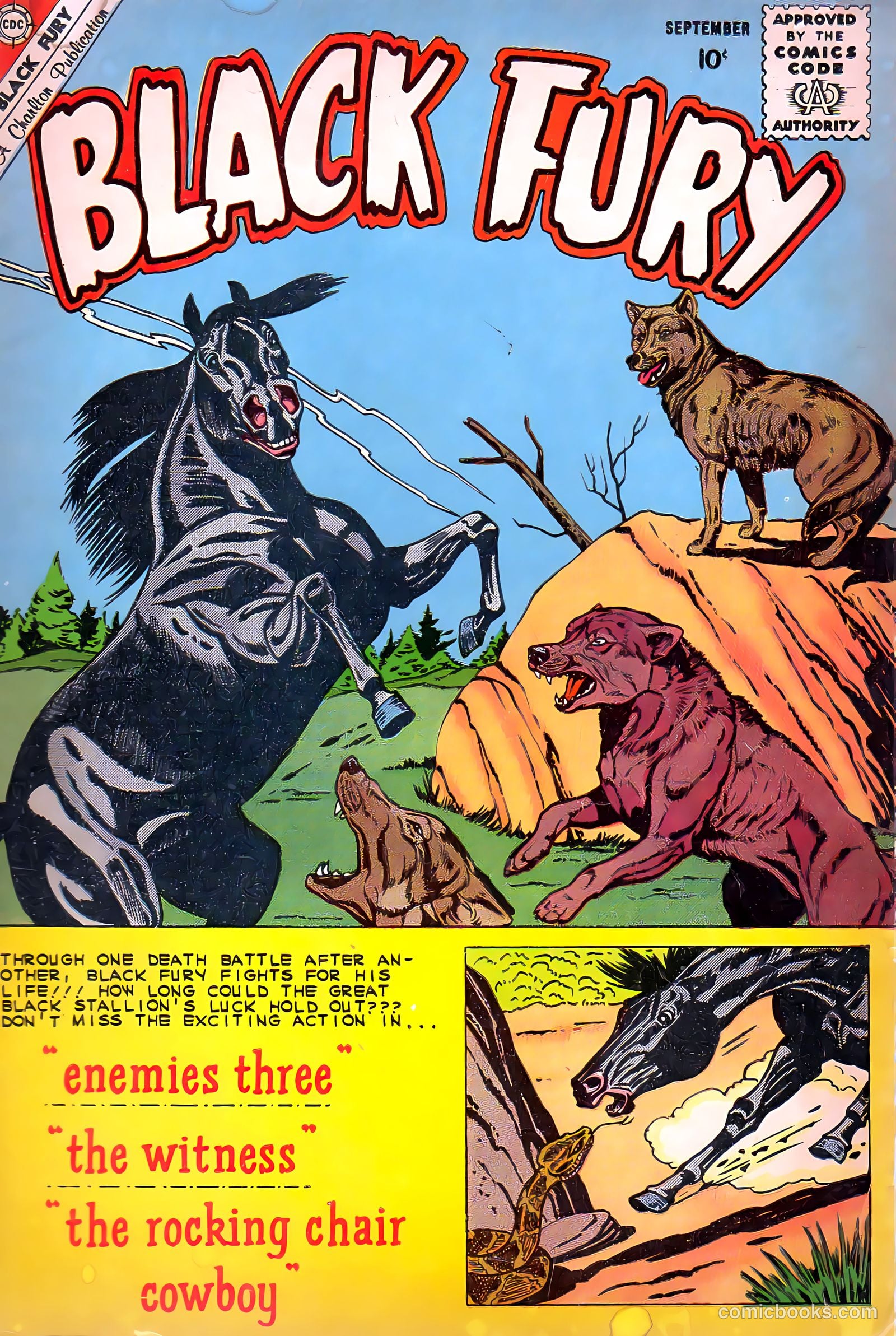 Black Fury #26