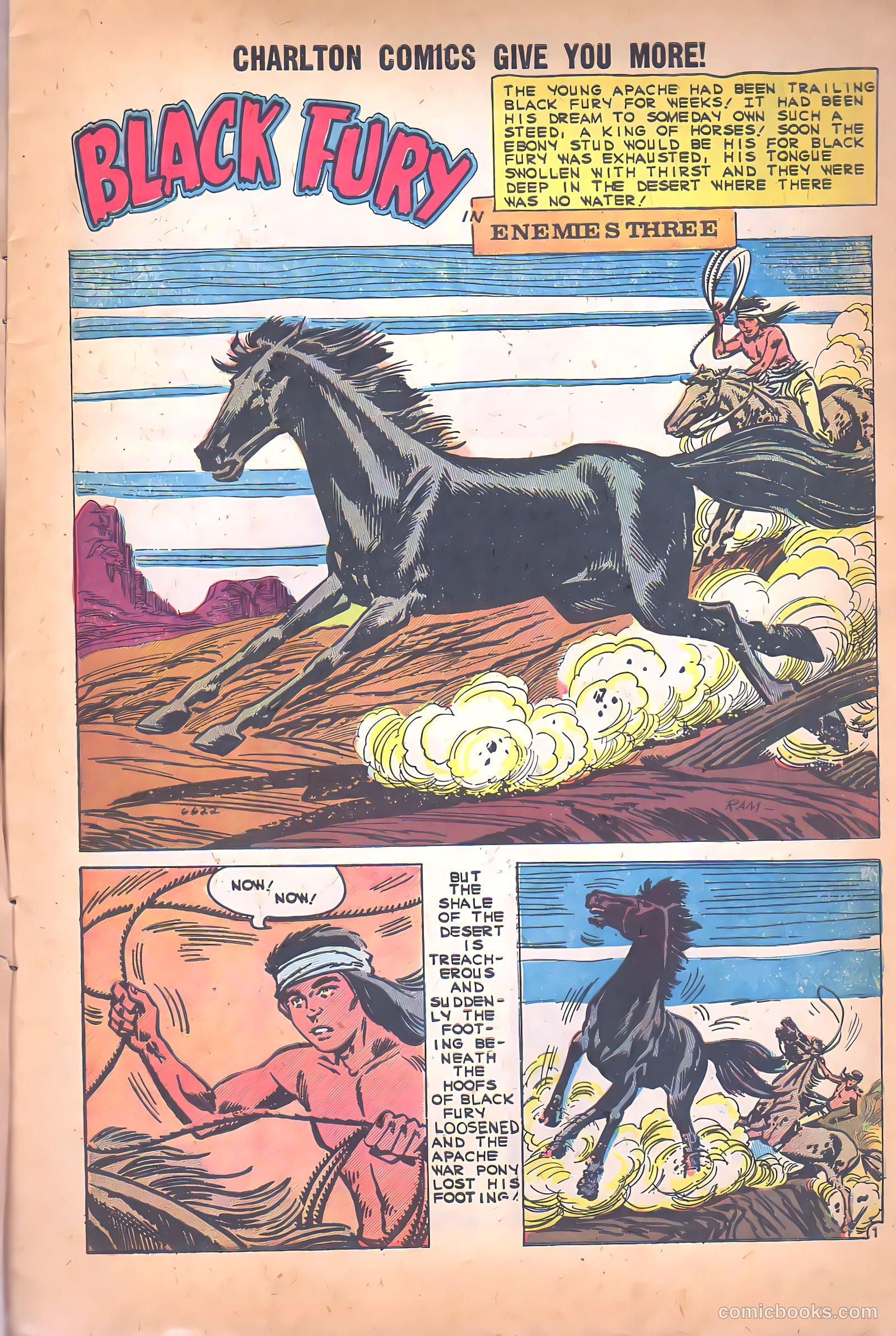 Black Fury #26 (1960) — page 3 of 36