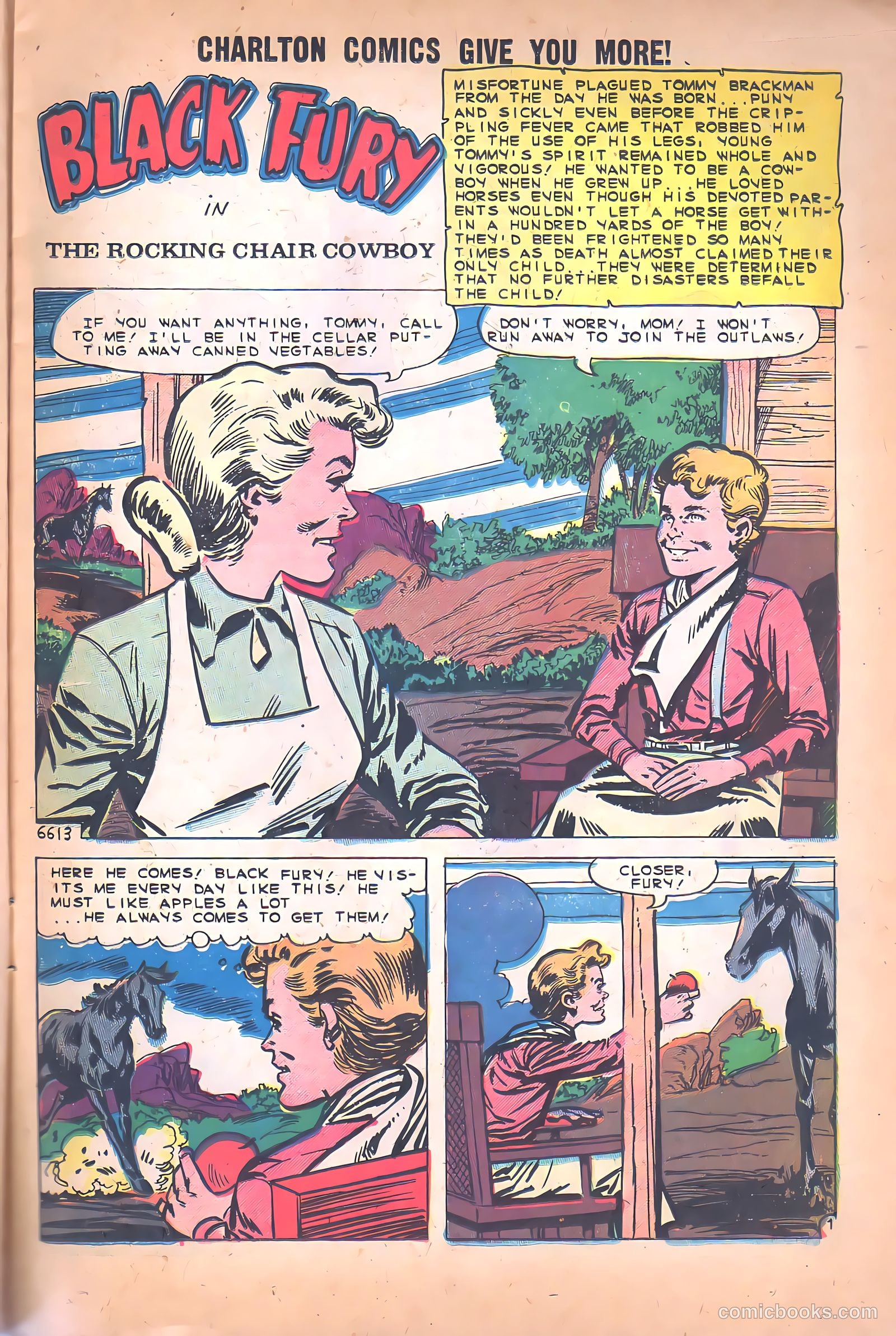 Black Fury #26 (1960) — page 11 of 36