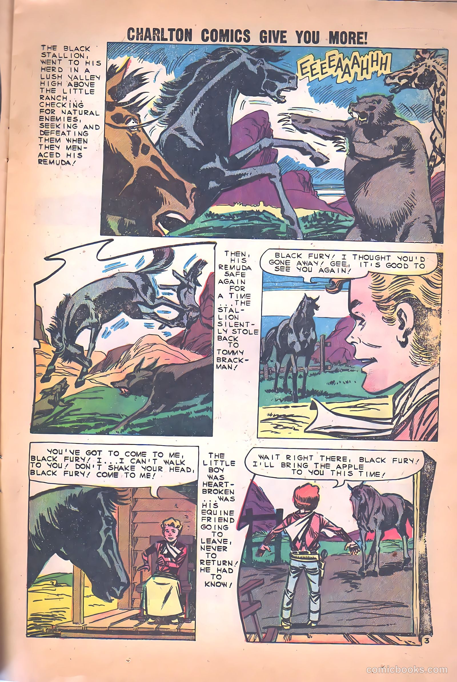 Black Fury #26 (1960) — page 13 of 36