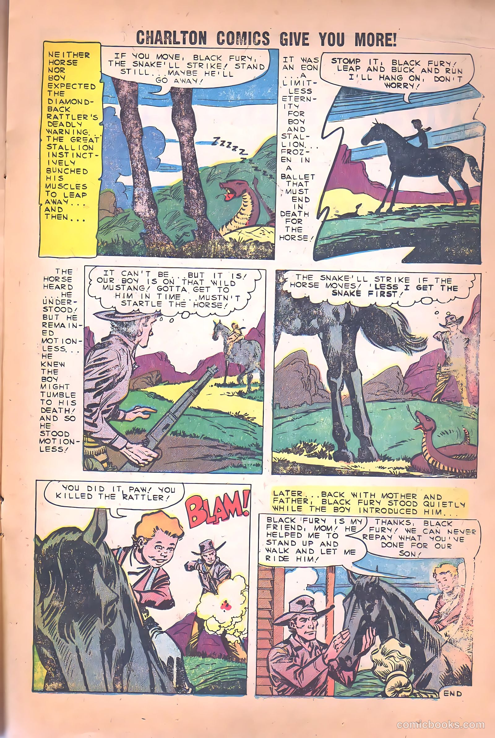 Black Fury #26 (1960) — page 17 of 36