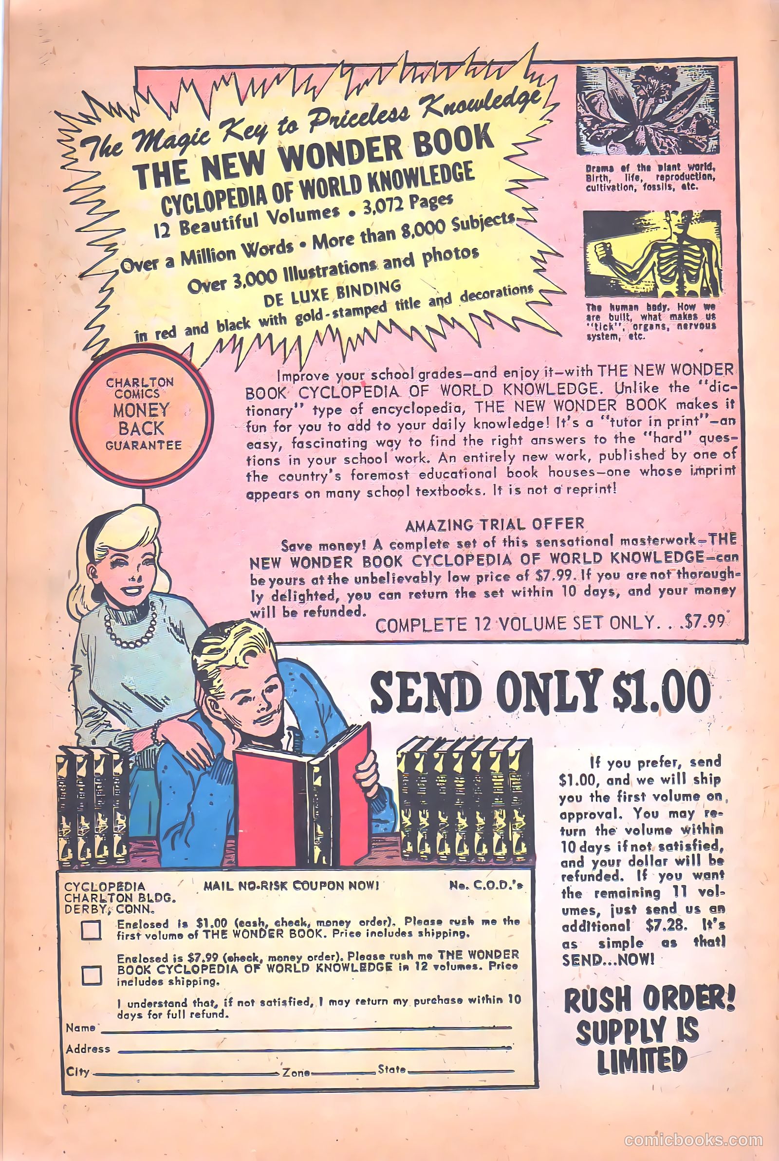 Black Fury #26 (1960) — page 22 of 36