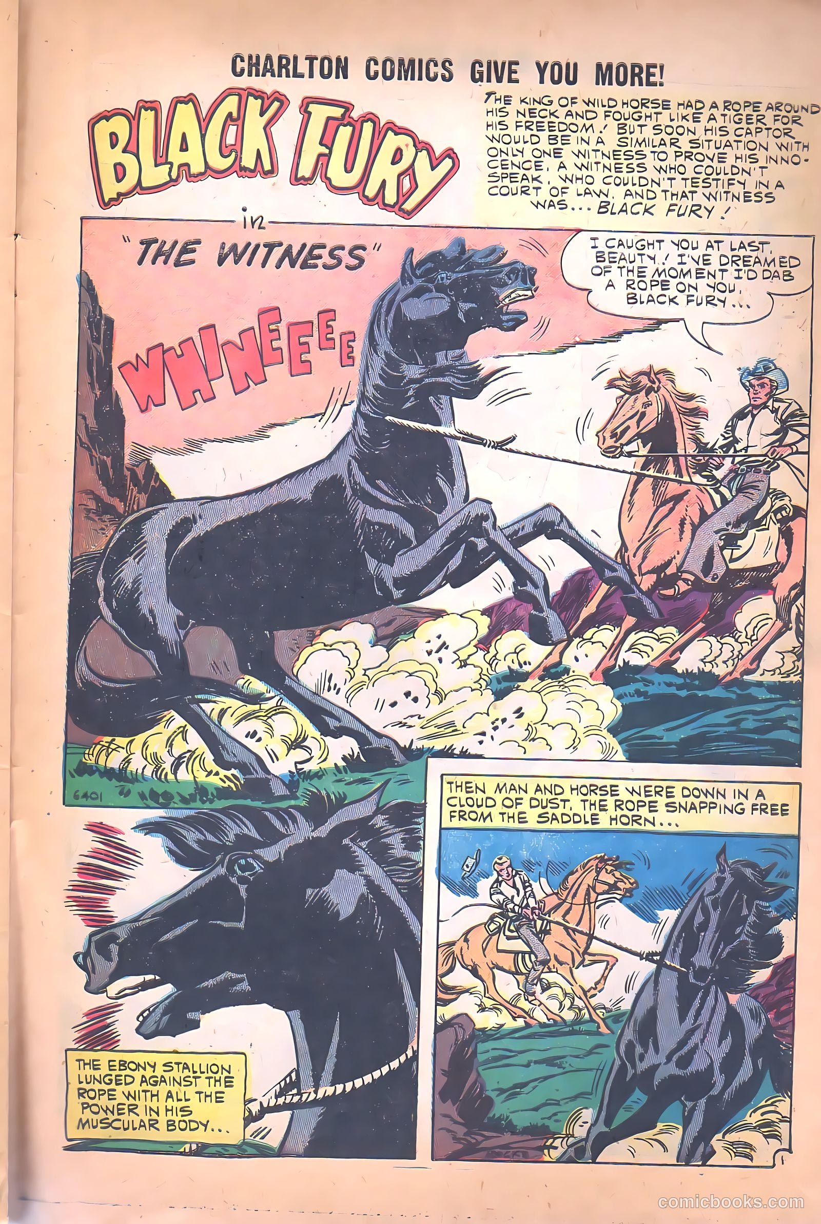 Black Fury #26 (1960) — page 27 of 36