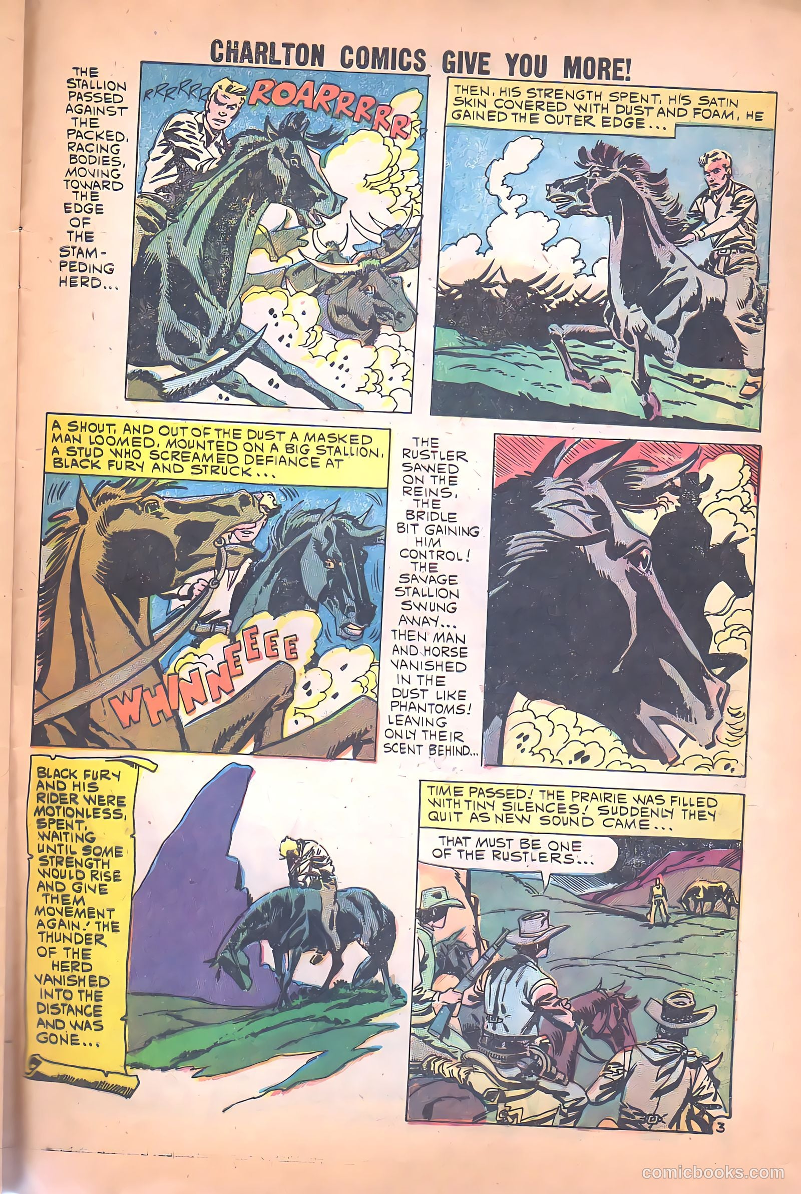 Black Fury #26 (1960) — page 29 of 36