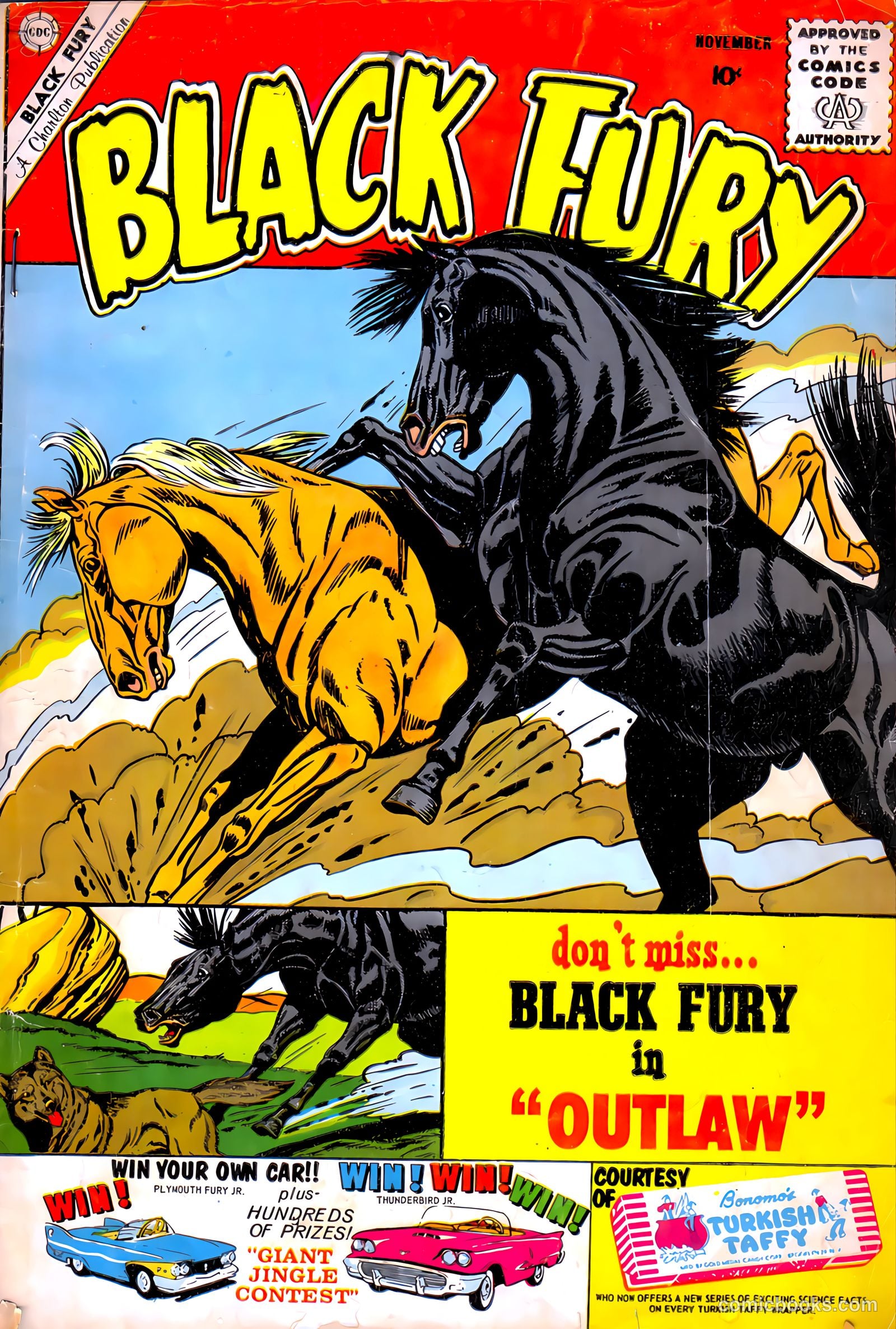 Black Fury #27