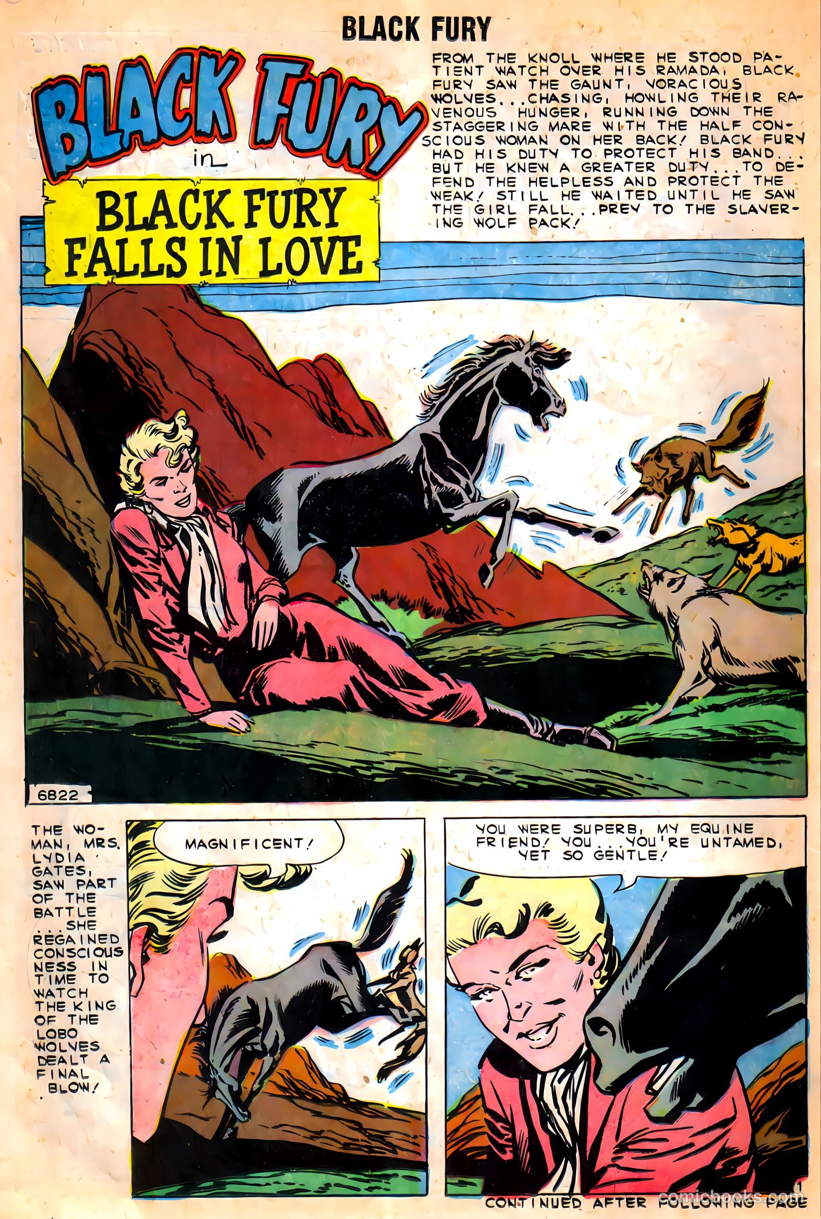 Black Fury #27 (1960) — page 14 of 36