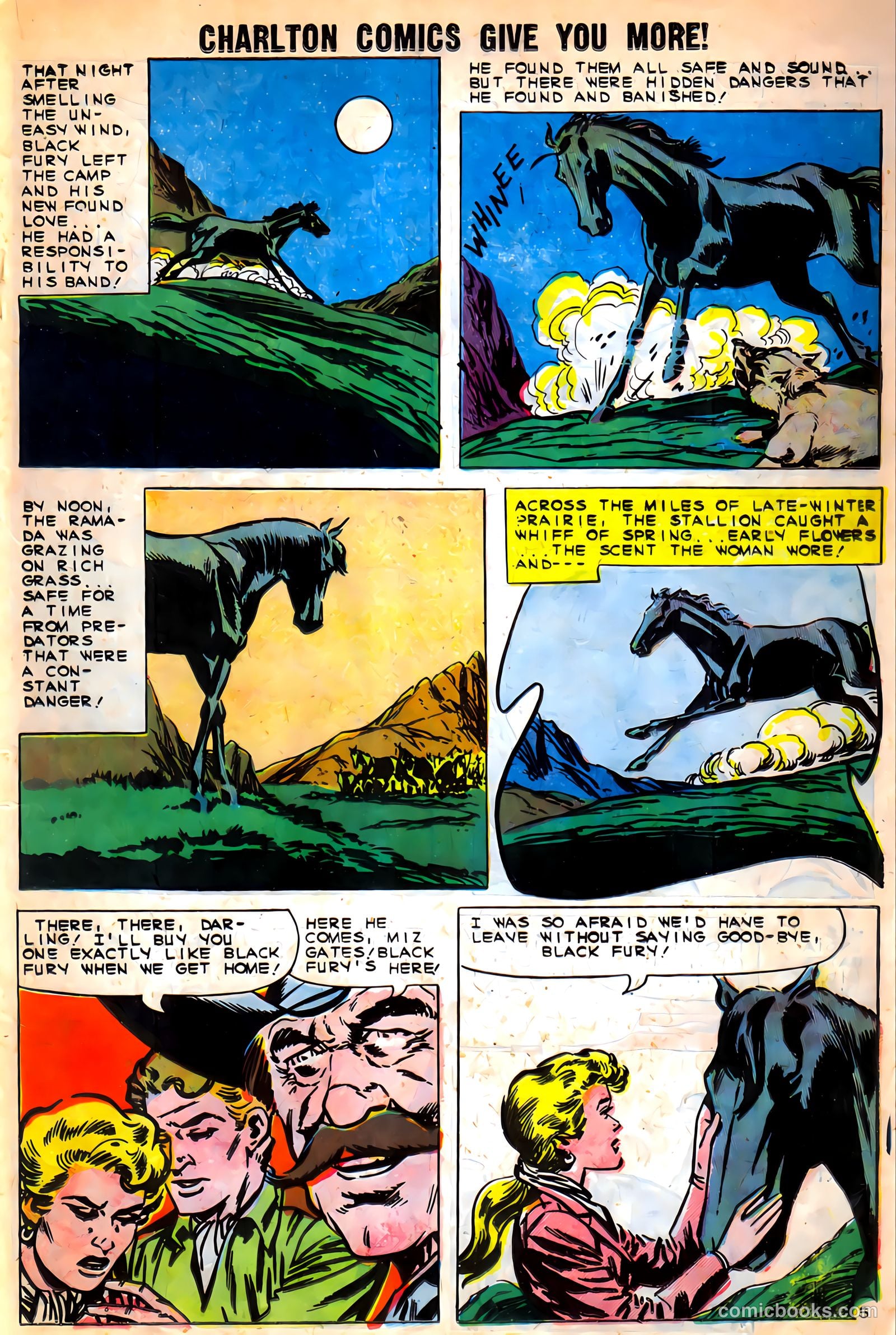 Black Fury #27 (1960) — page 19 of 36