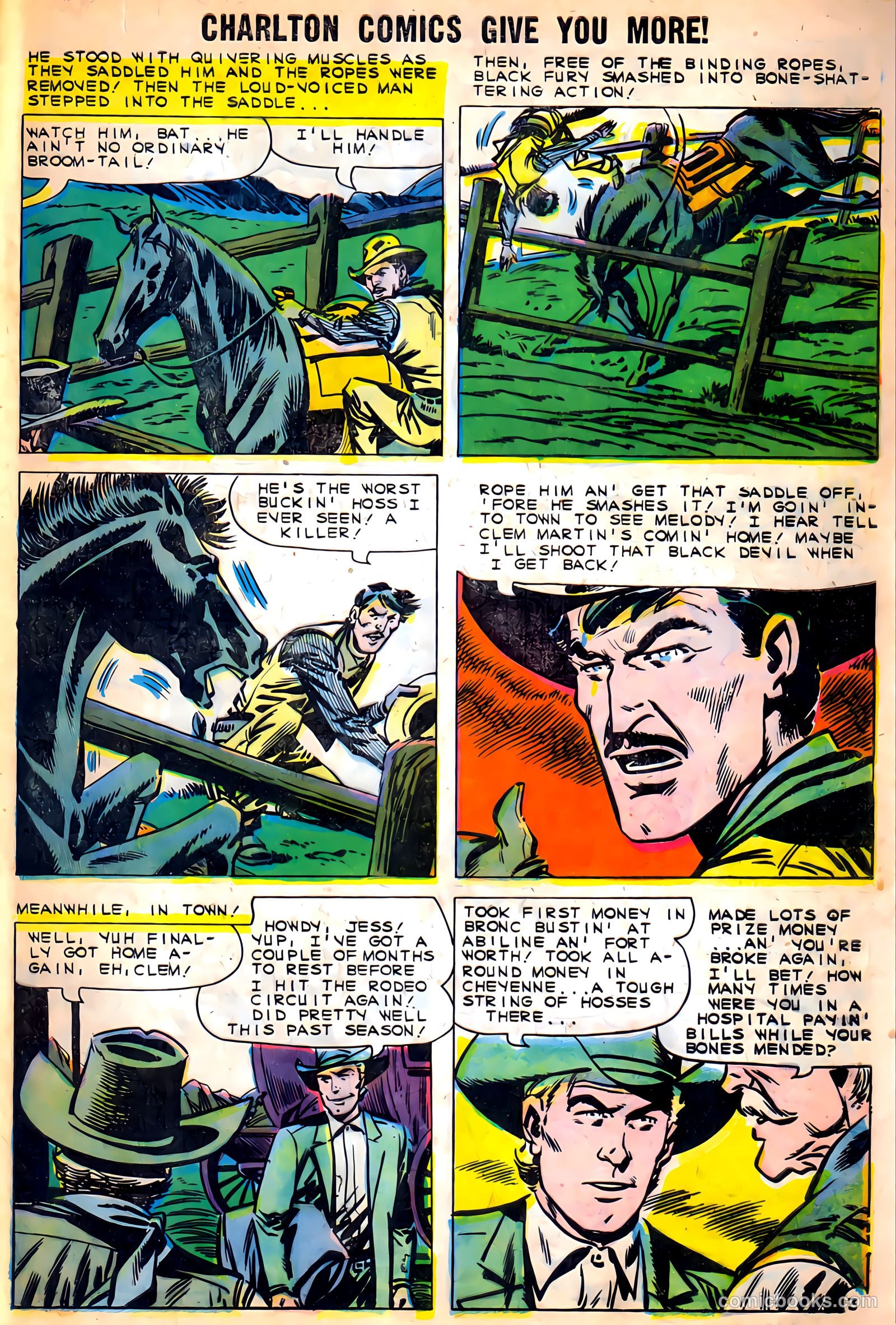 Black Fury #27 (1960) — page 29 of 36