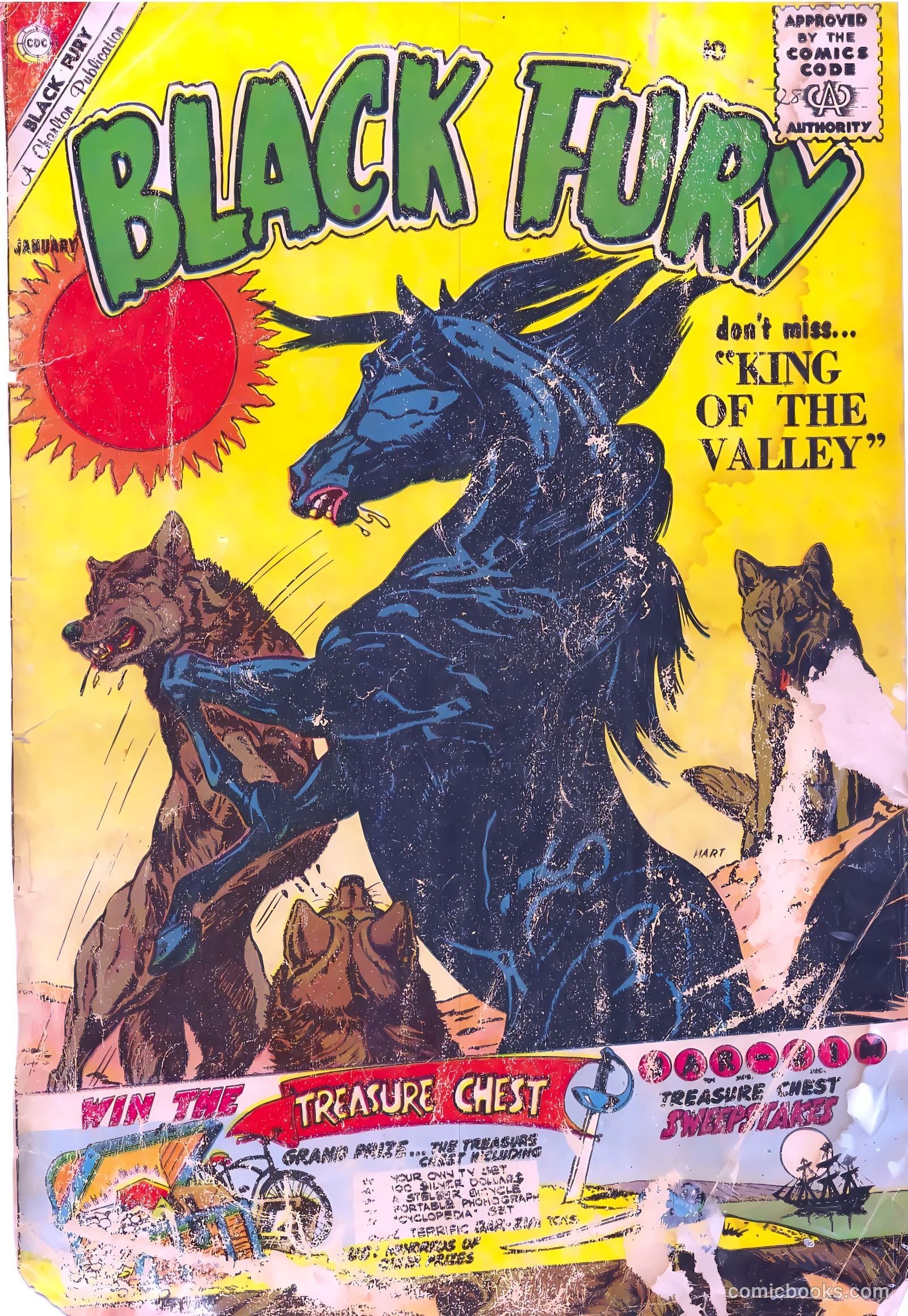 Black Fury #28