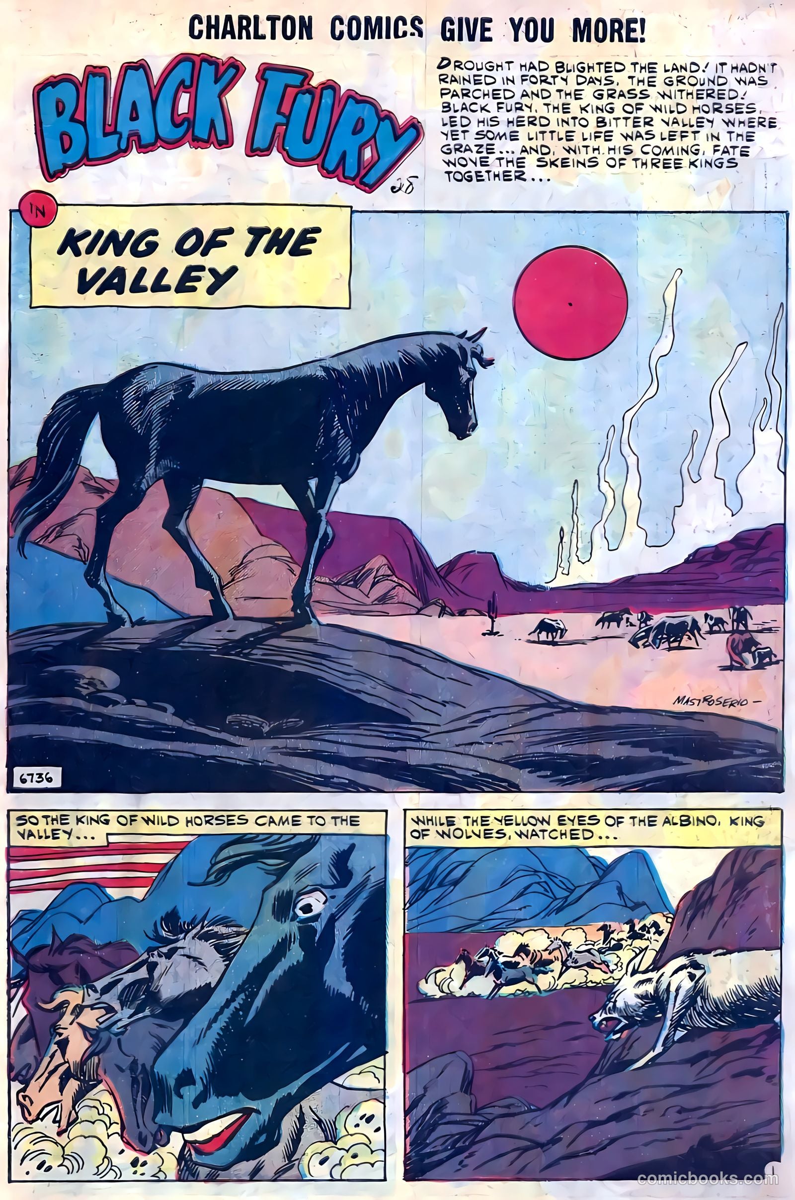 Black Fury #28 (1960) — page 3 of 36