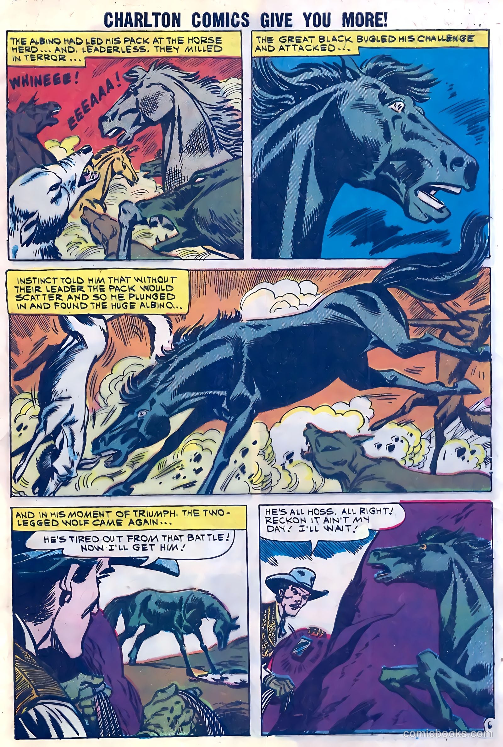 Black Fury #28 (1960) — page 9 of 36