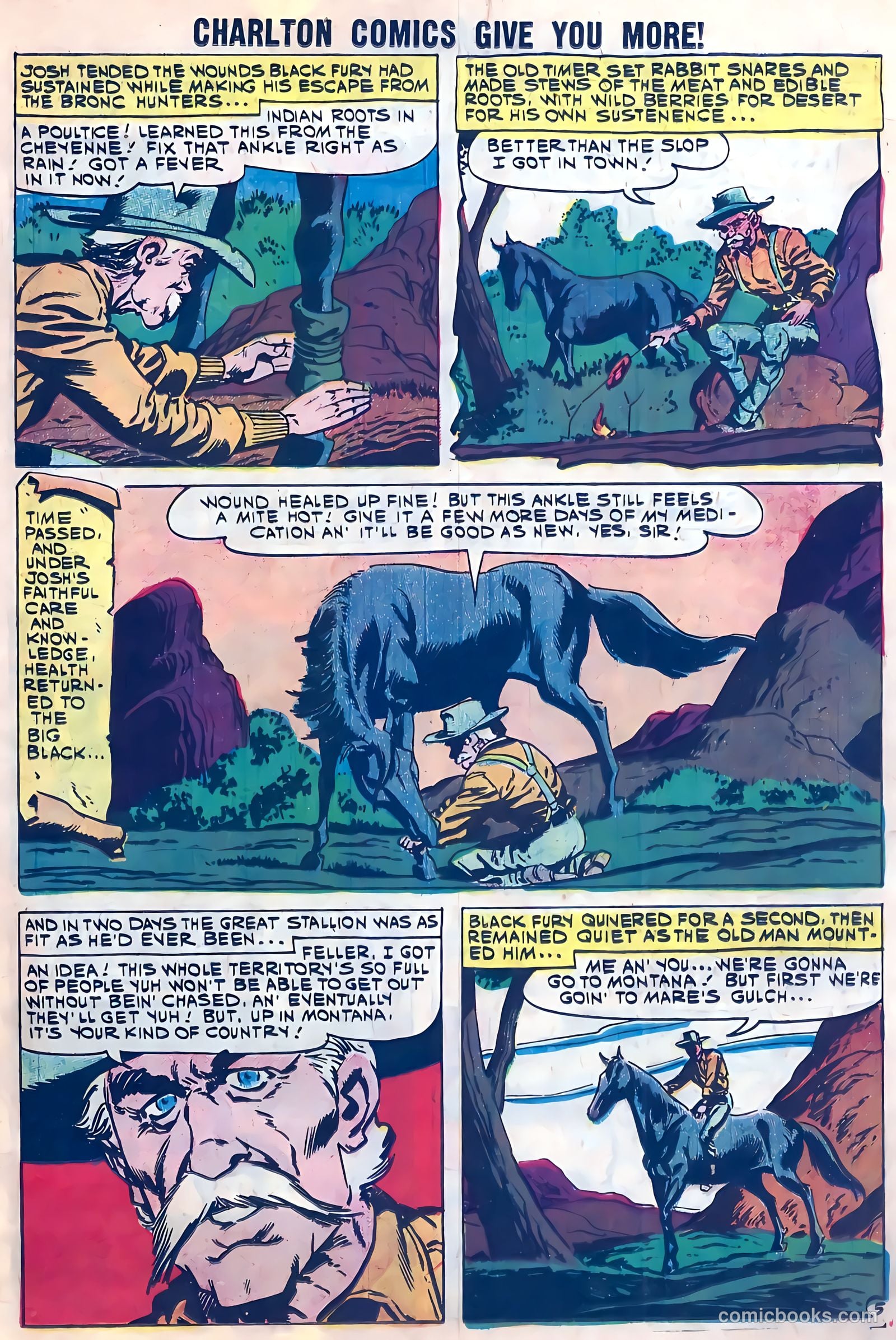 Black Fury #28 (1960) — page 19 of 36