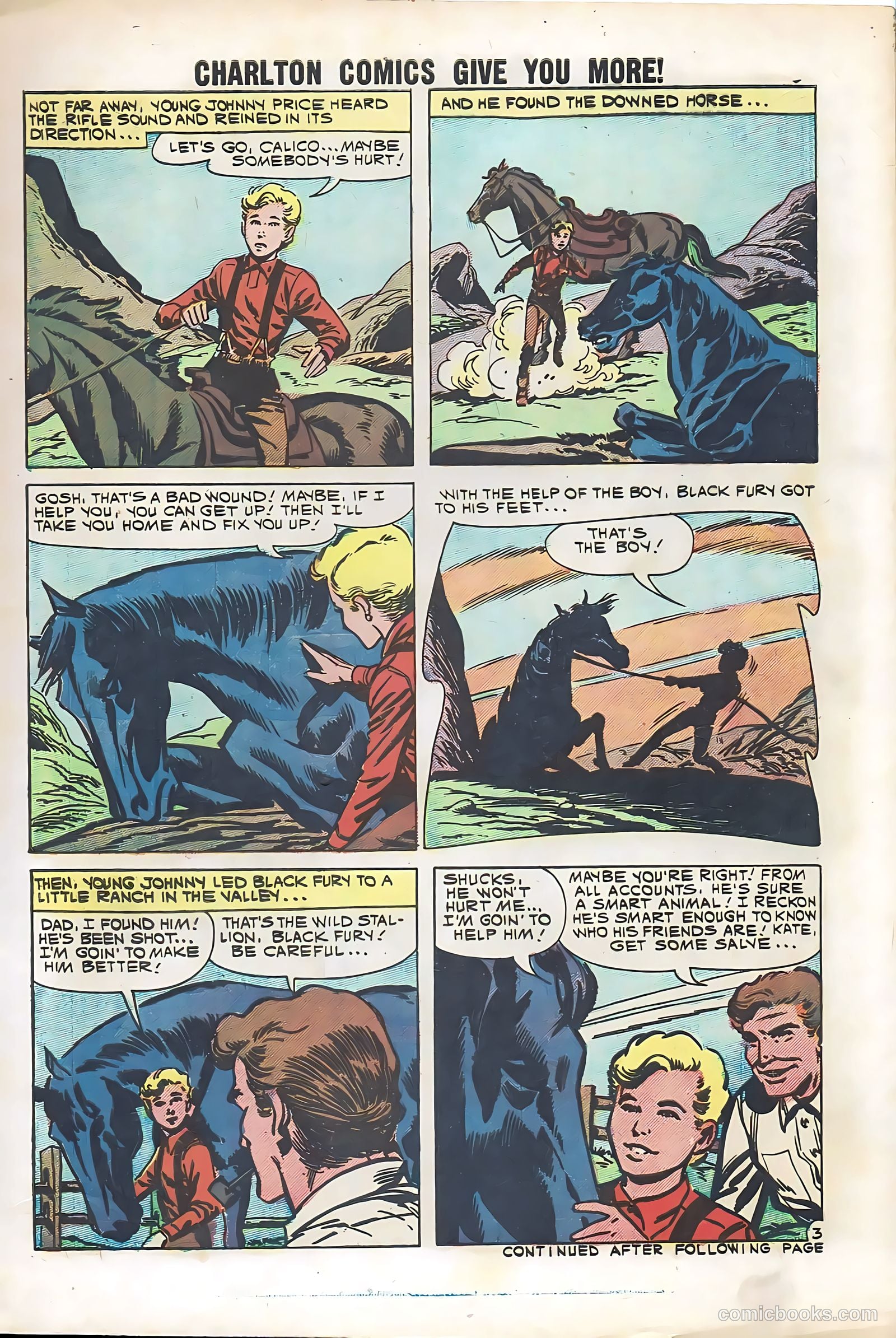 Black Fury #29 (1961) — page 5 of 36