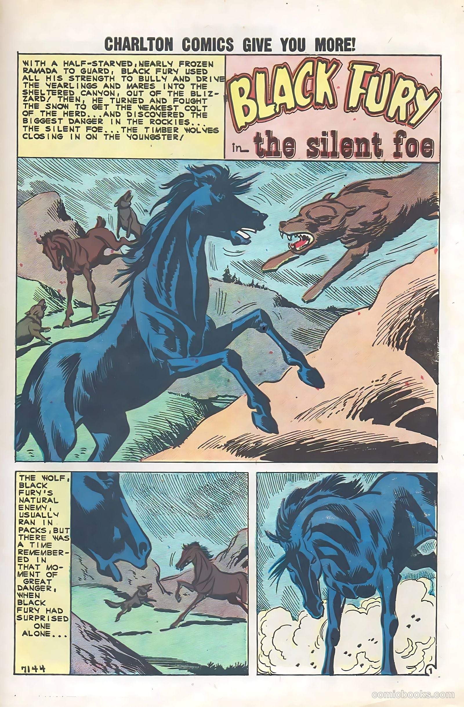 Black Fury #29 (1961) — page 27 of 36