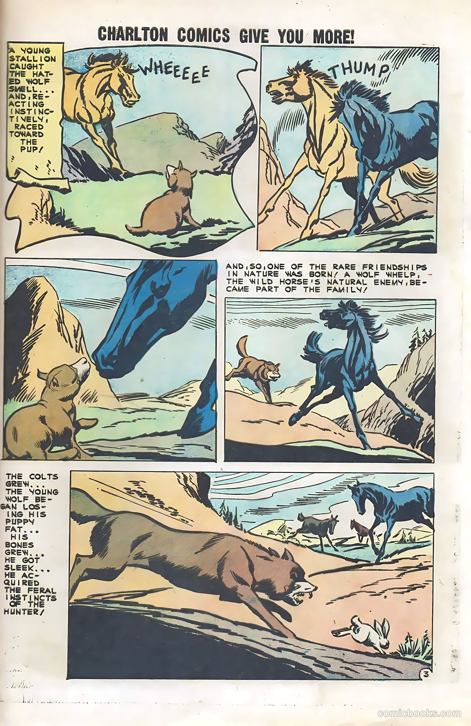 Black Fury #29 (1961) — page 29 of 36