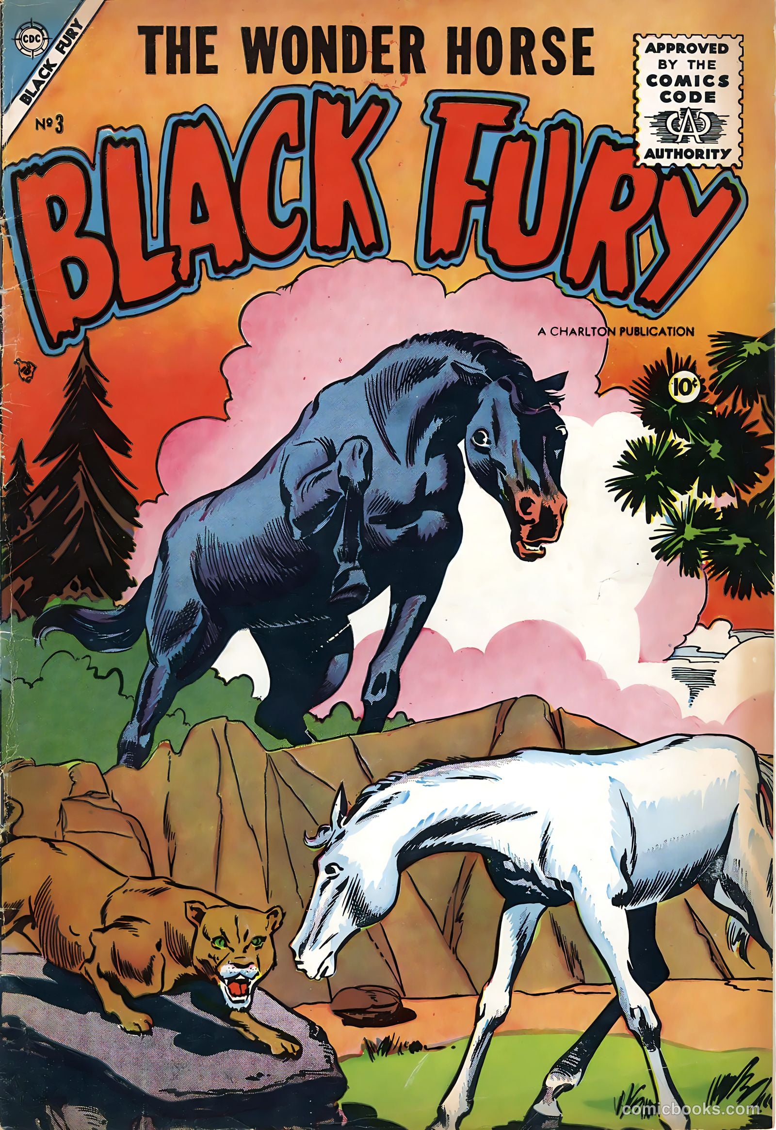 Black Fury #3