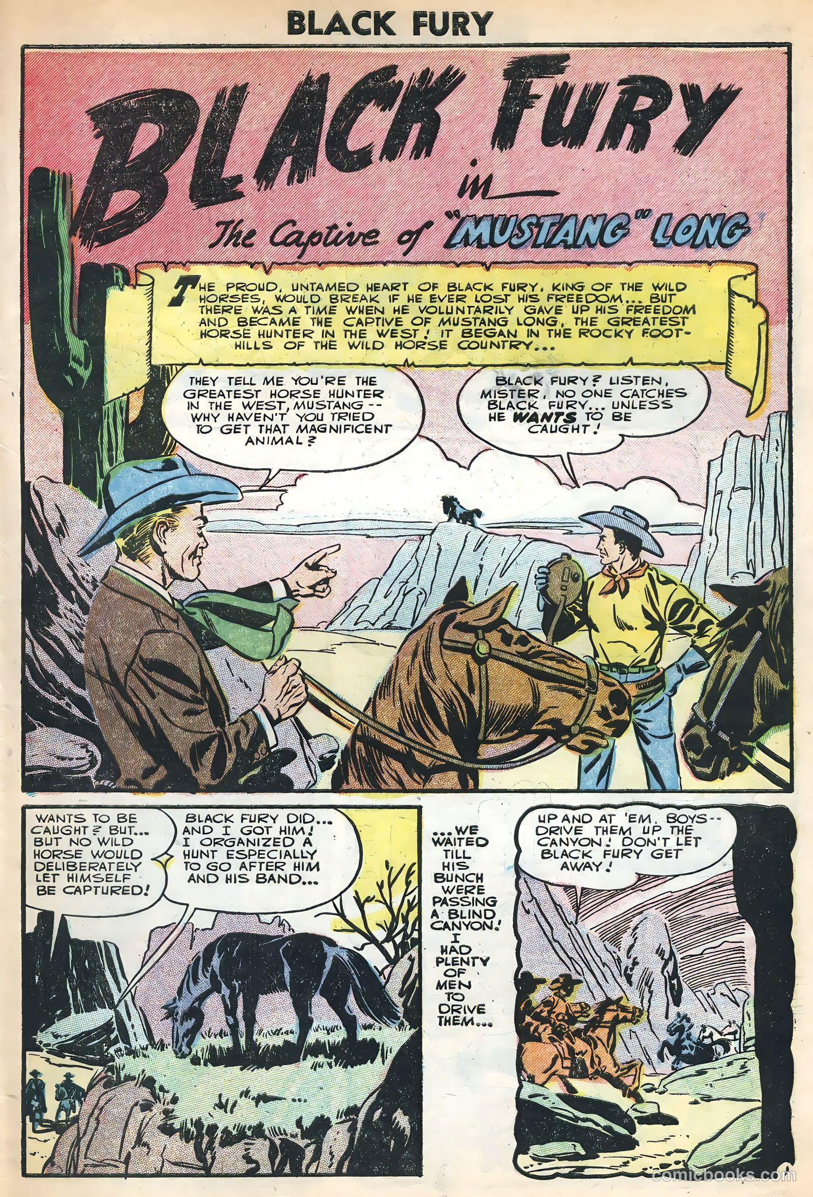 Black Fury #3 (1955) — page 3 of 36
