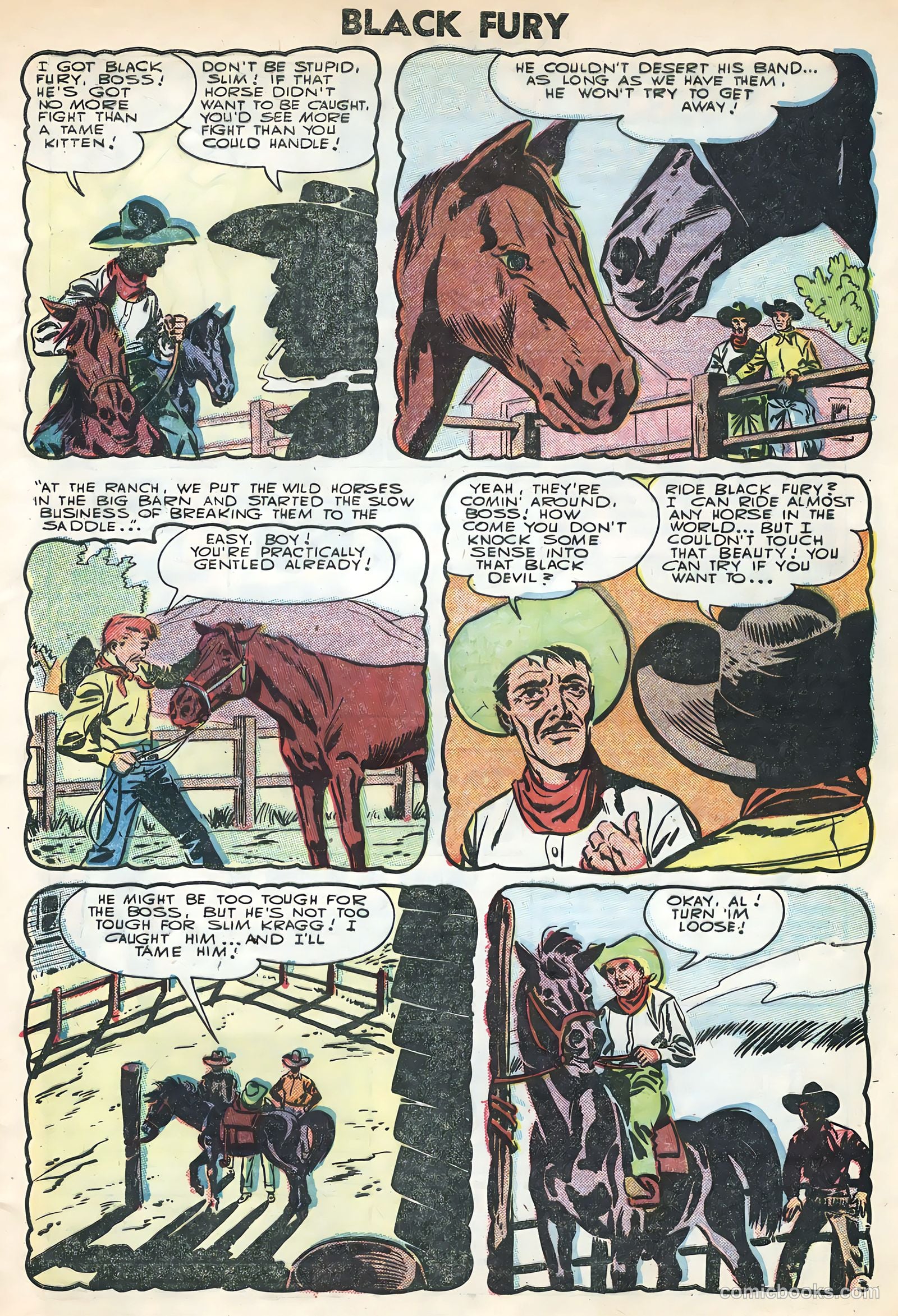 Black Fury #3 (1955) — page 5 of 36