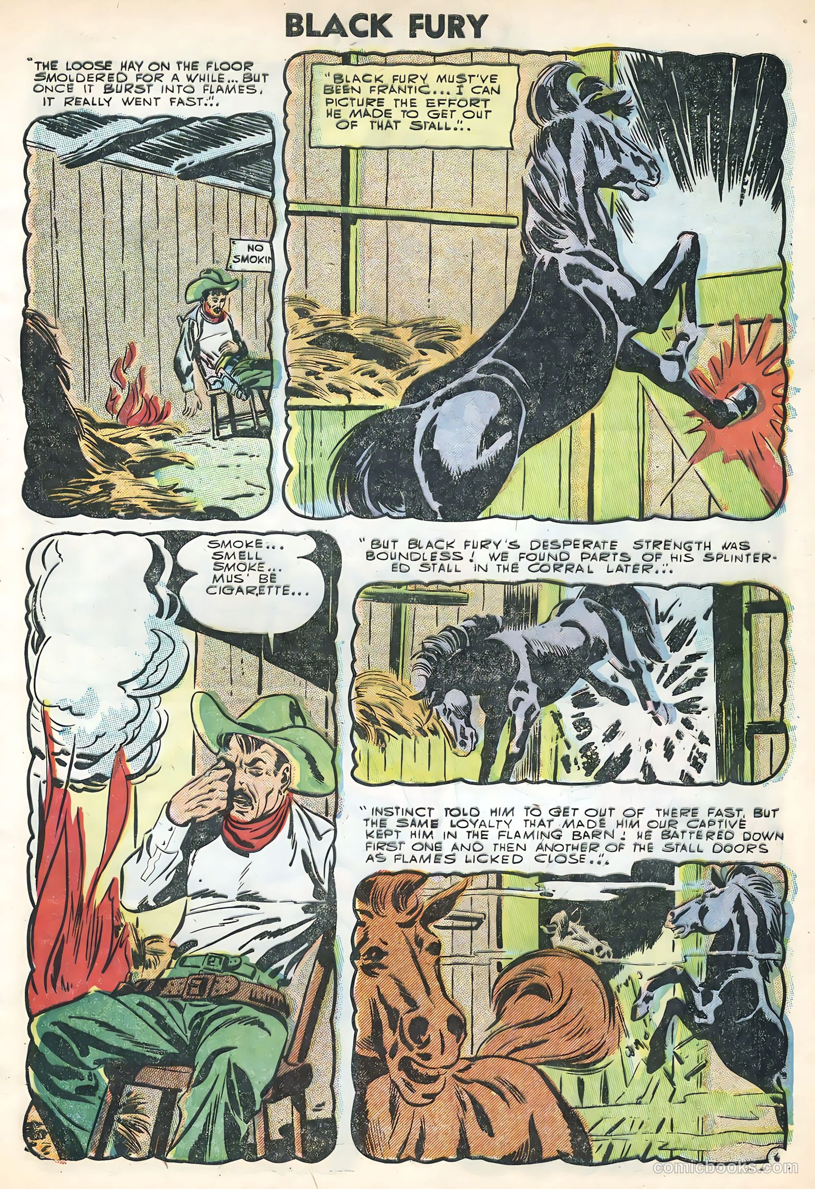 Black Fury #3 (1955) — page 9 of 36