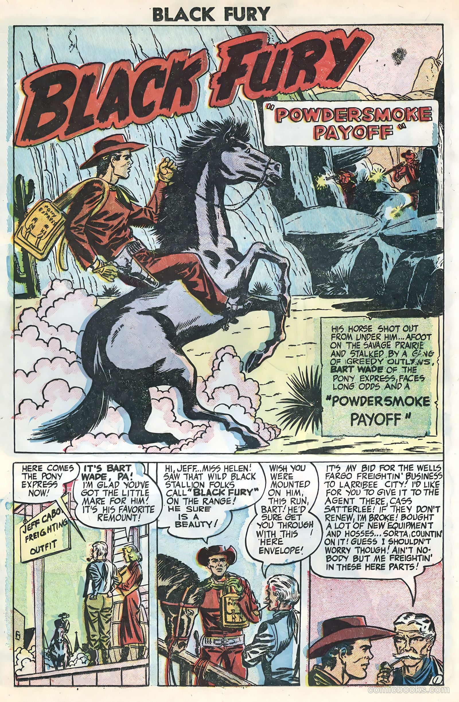 Black Fury #3 (1955) — page 12 of 36