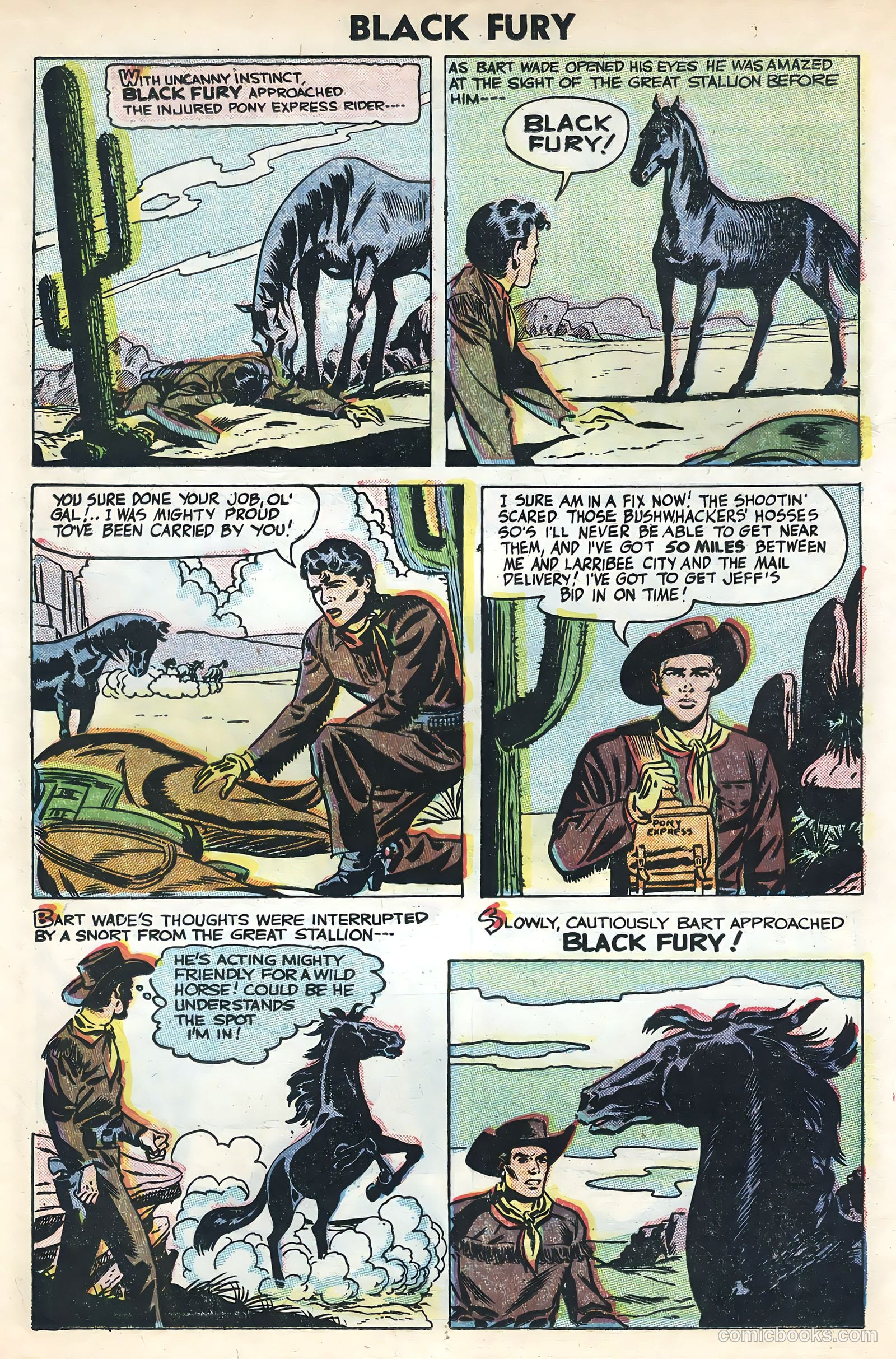 Black Fury #3 (1955) — page 14 of 36
