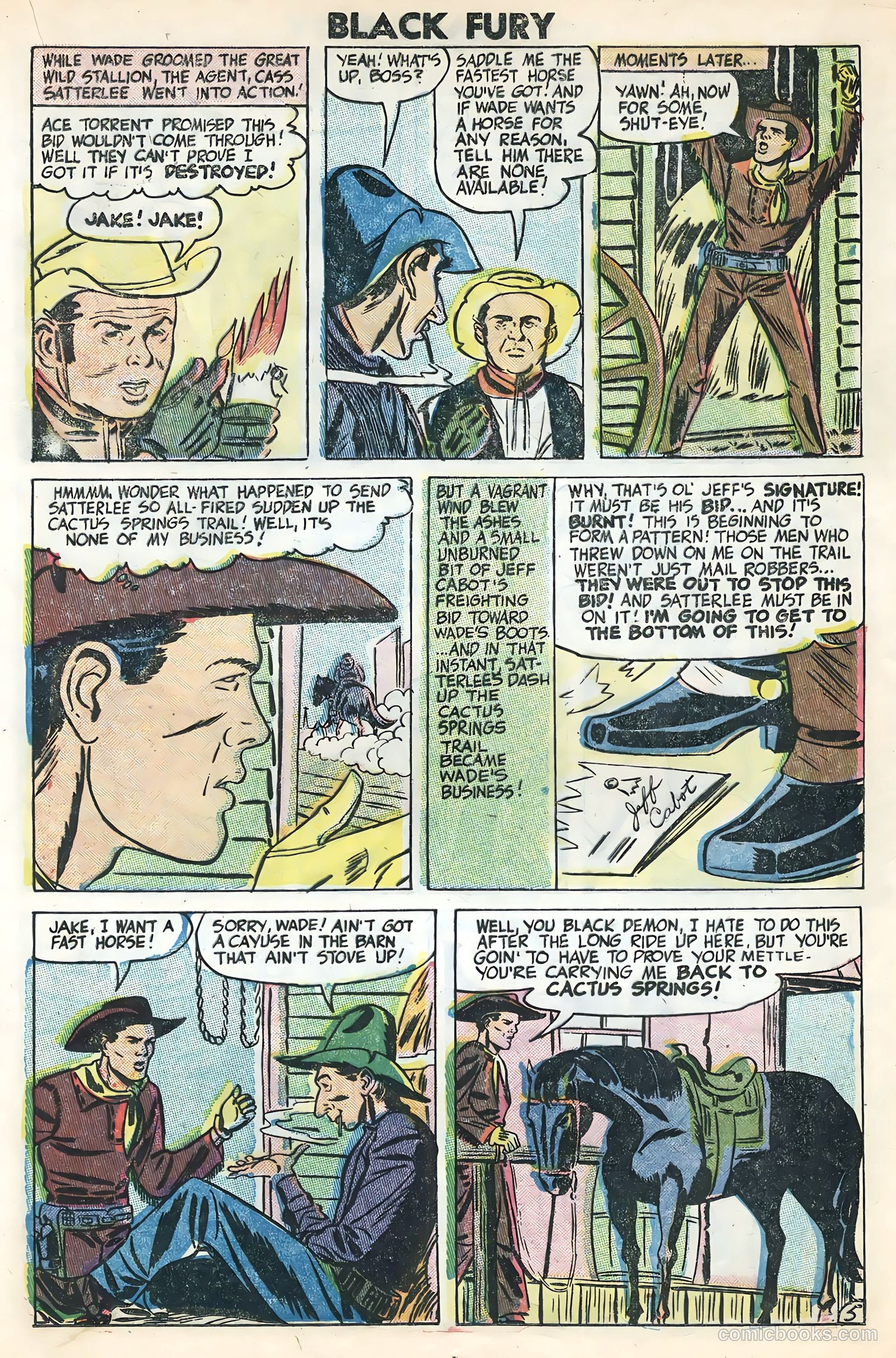 Black Fury #3 (1955) — page 17 of 36