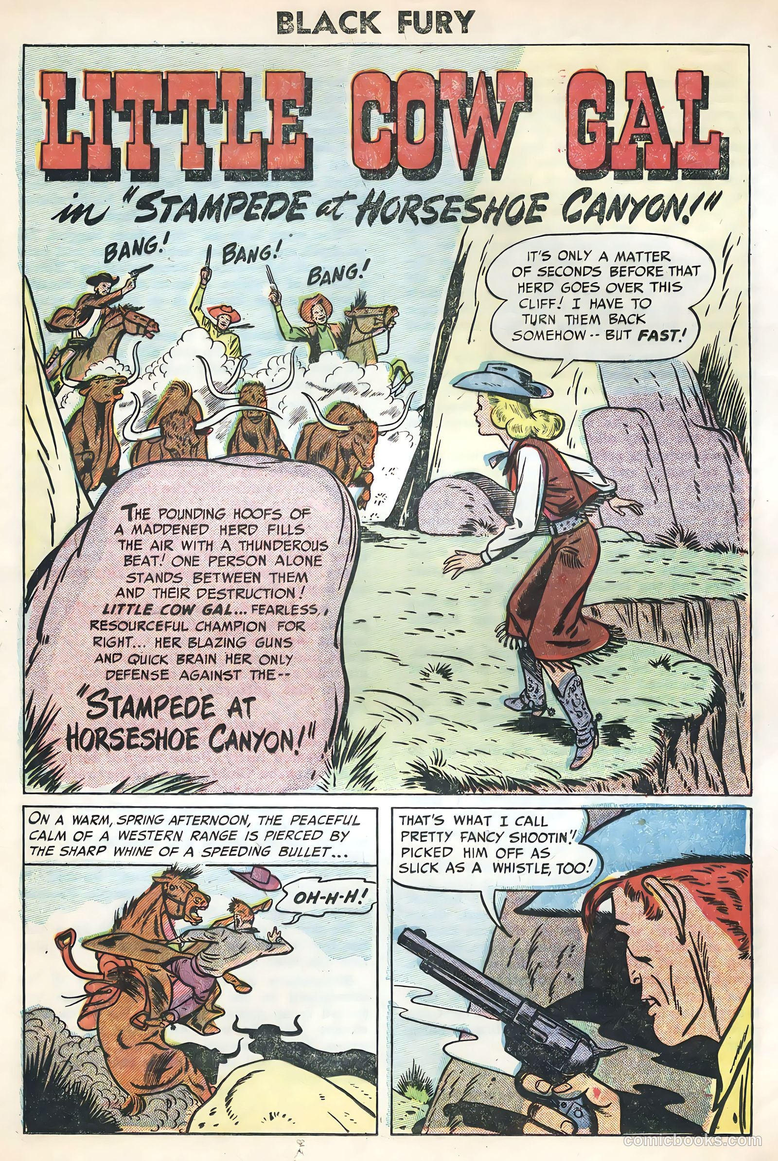Black Fury #3 (1955) — page 24 of 36