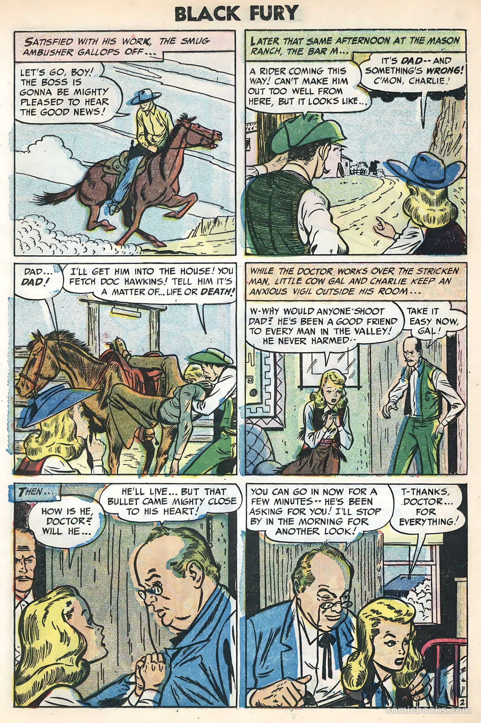 Black Fury #3 (1955) — page 25 of 36