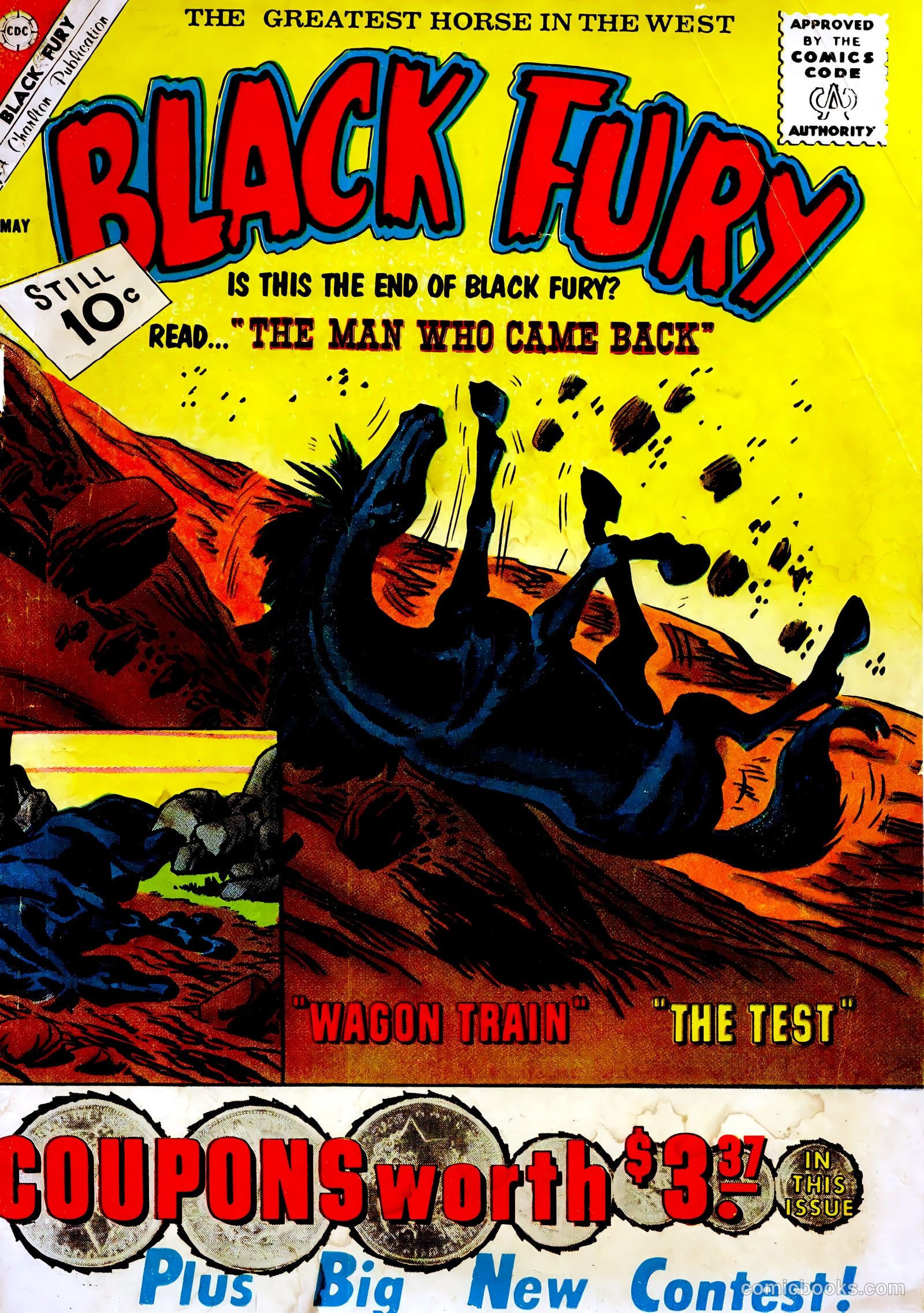 Black Fury #30