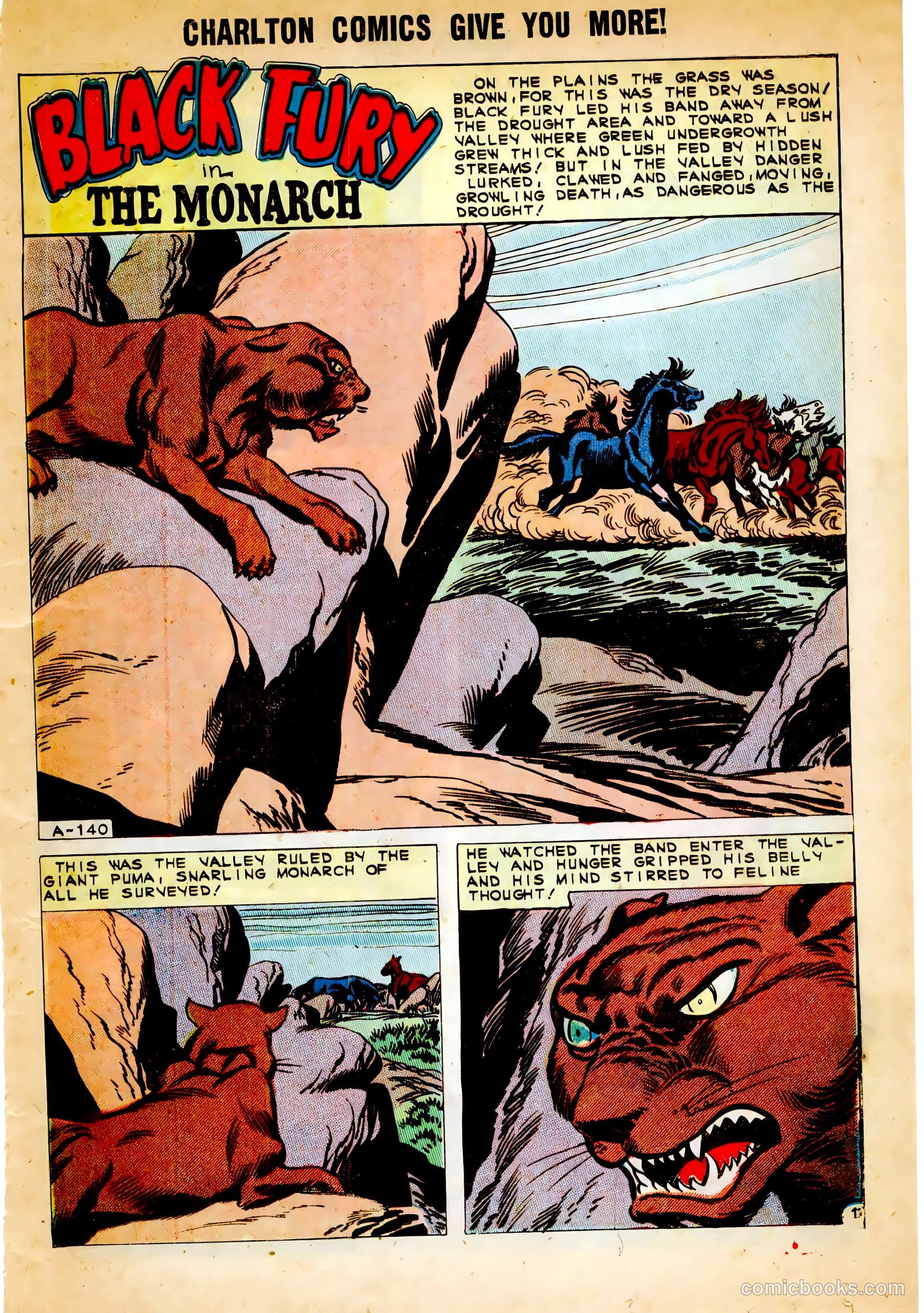 Black Fury #30 (1961) — page 19 of 36