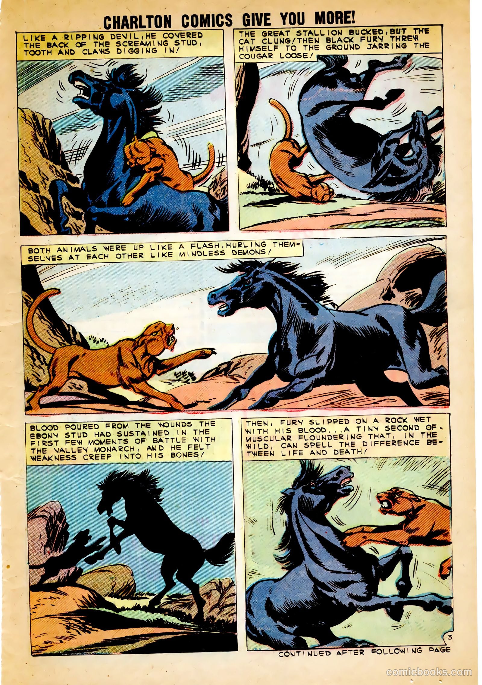 Black Fury #30 (1961) — page 21 of 36