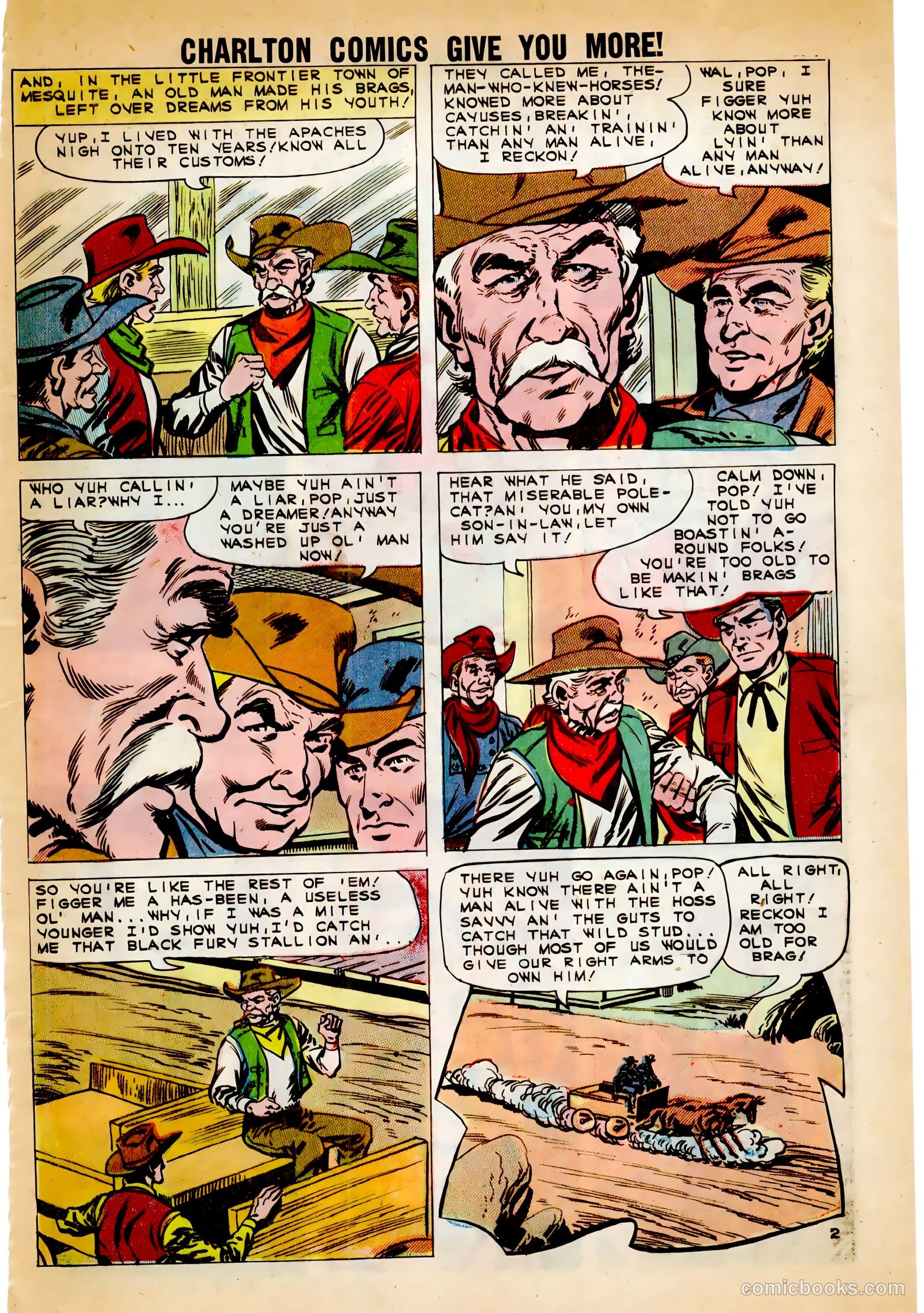 Black Fury #30 (1961) — page 29 of 36
