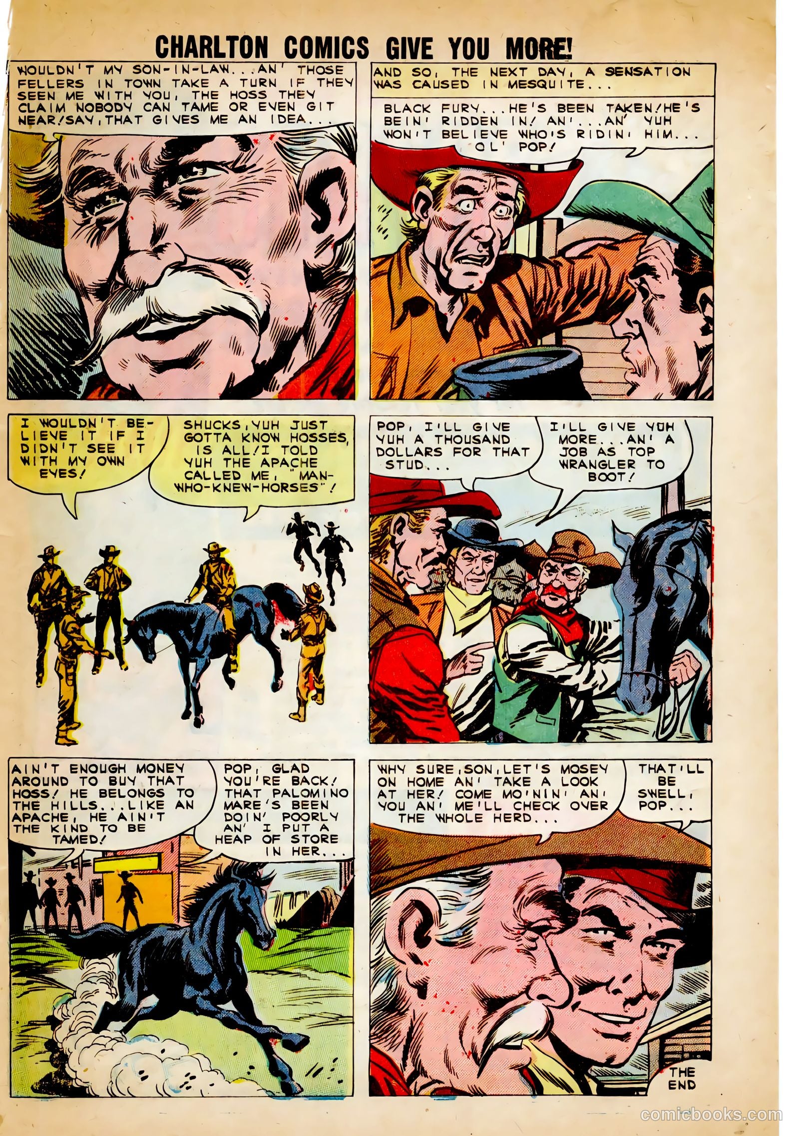 Black Fury #30 (1961) — page 33 of 36