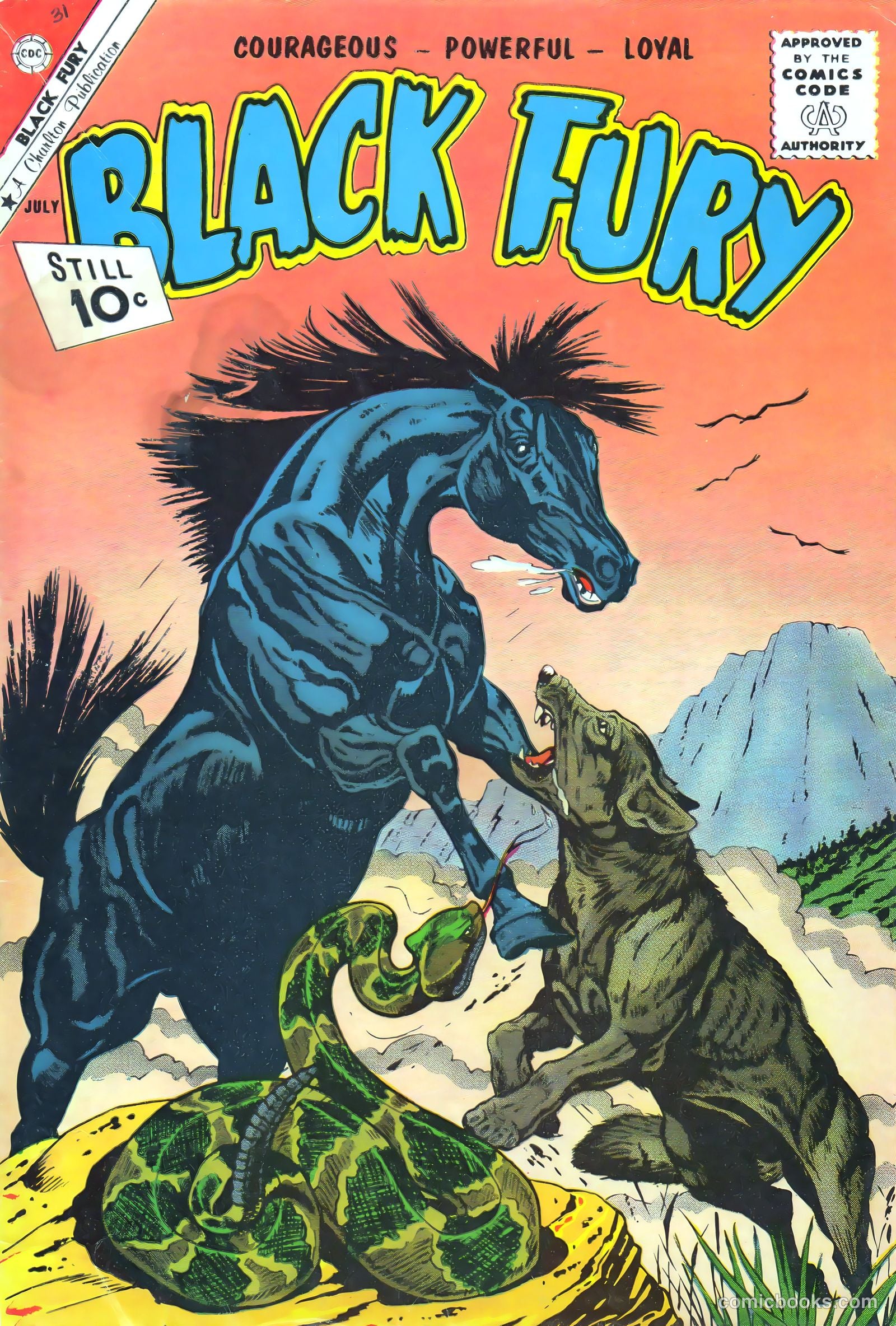 Black Fury #31