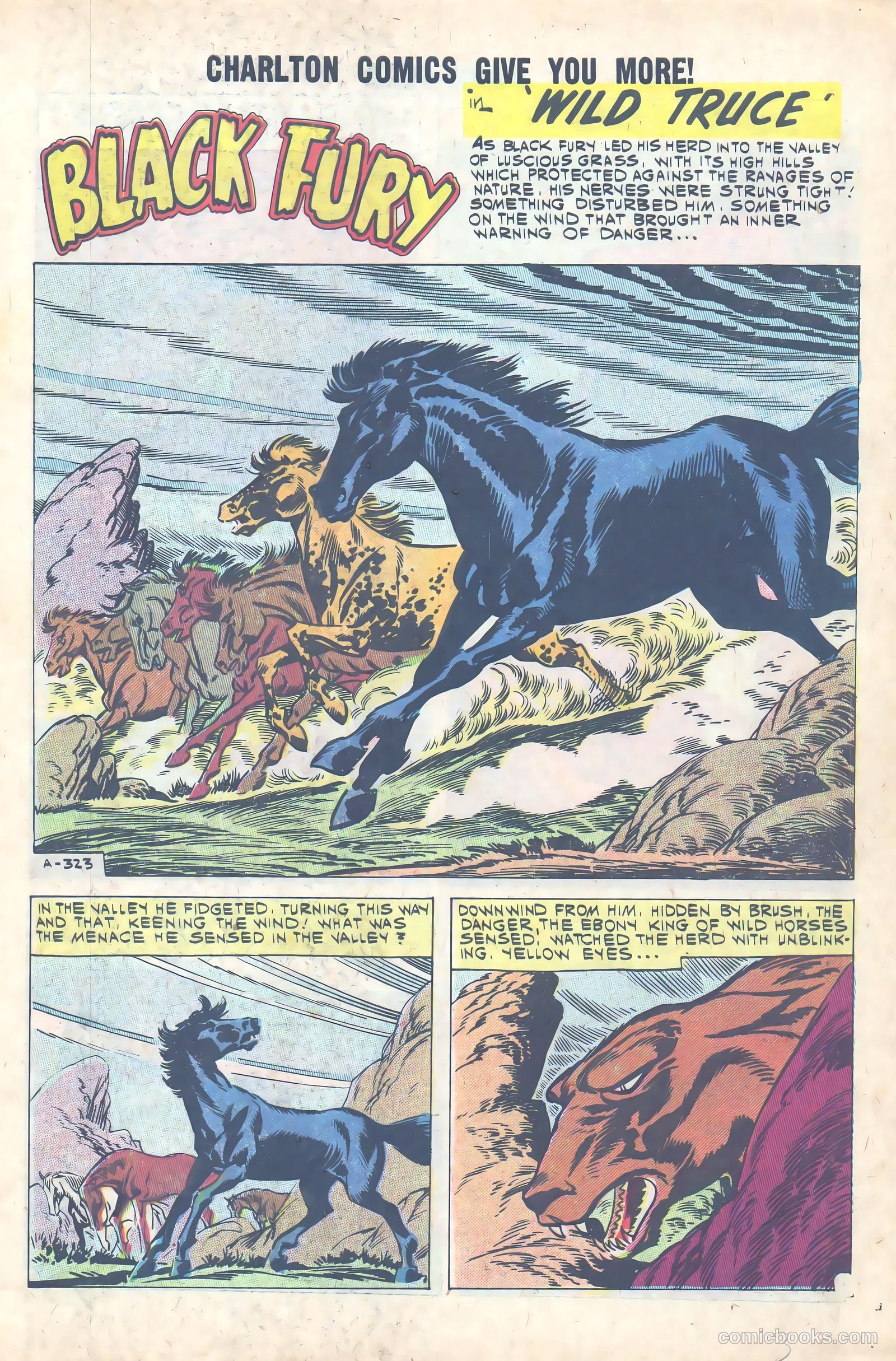 Black Fury #31 (1961) — page 3 of 36