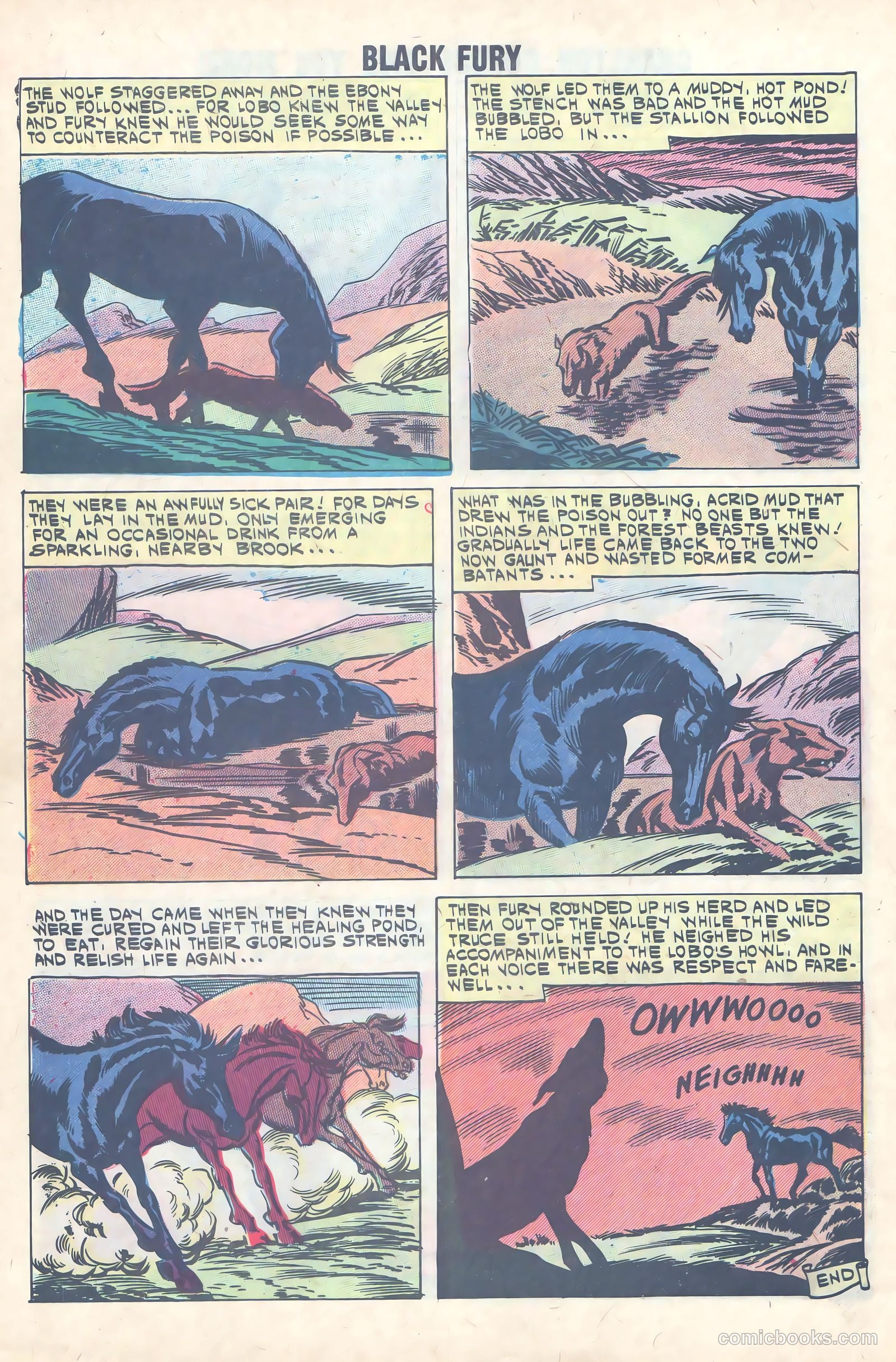 Black Fury #31 (1961) — page 8 of 36
