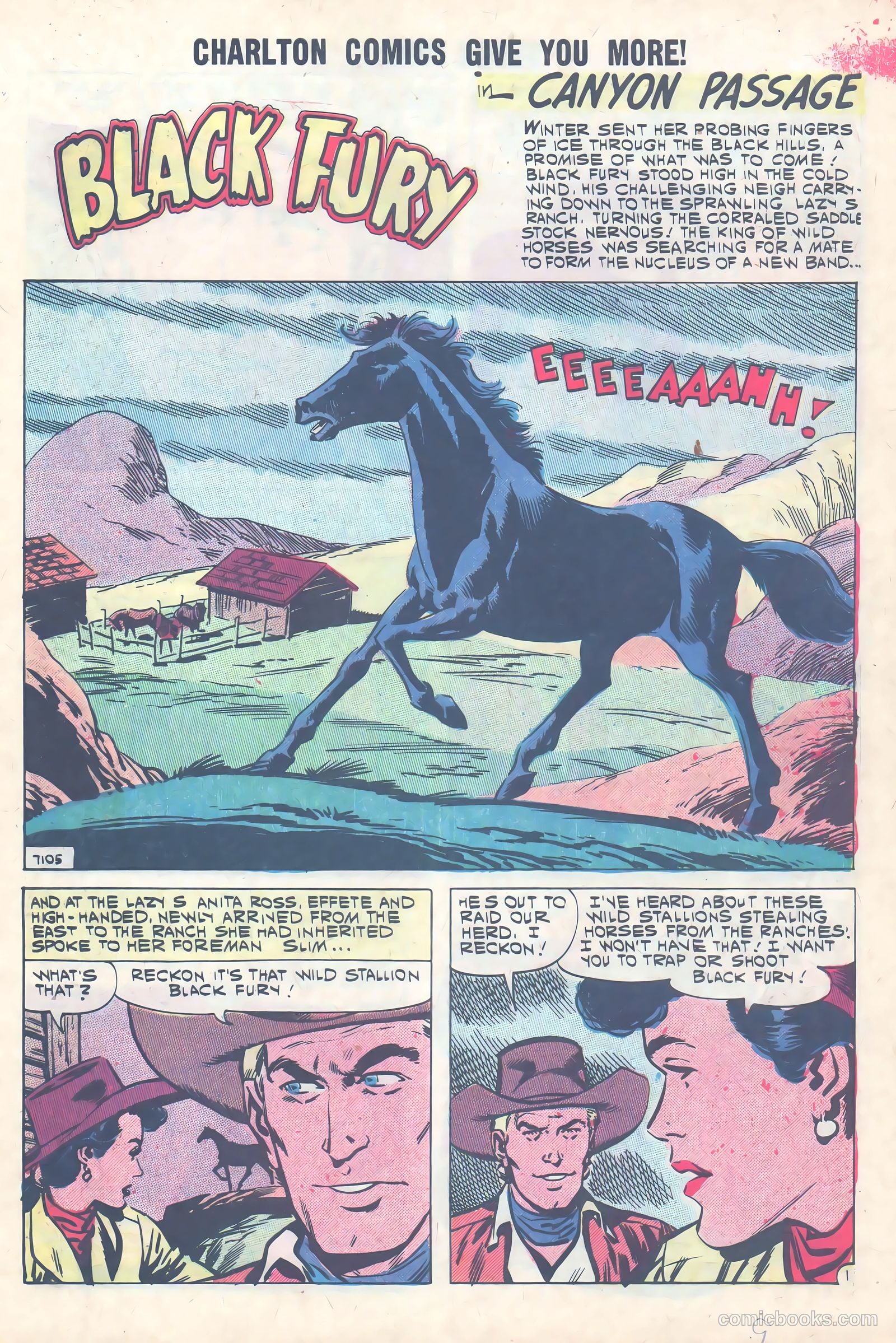 Black Fury #31 (1961) — page 9 of 36